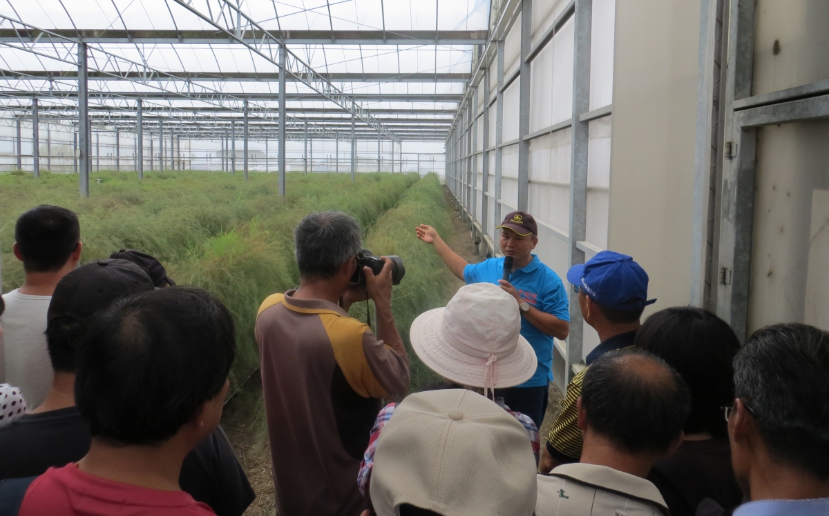 百大青農黃志偉先生現場觀摩解說