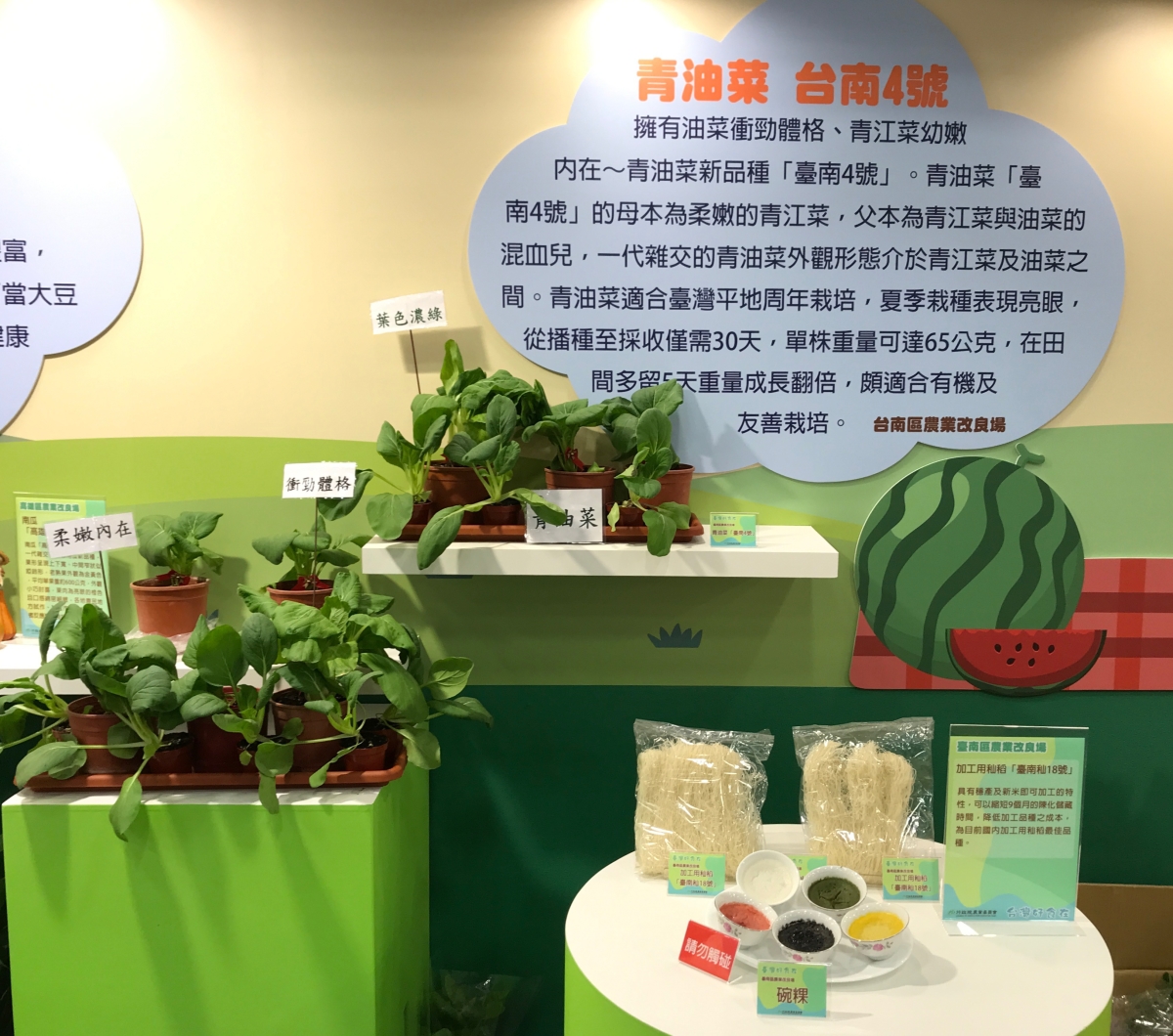 本場展出青油菜「台南4號」及加工用秈稻「臺南秈18號」