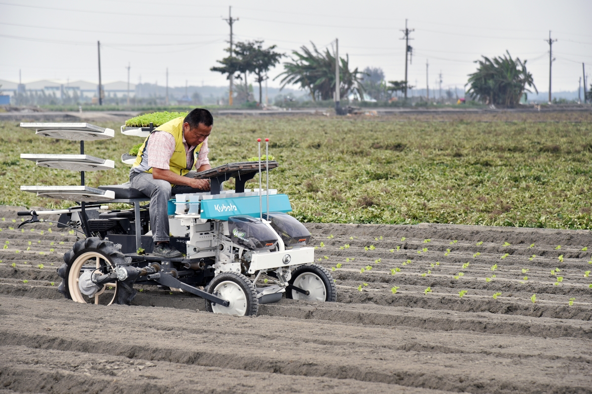 臺南區農改場人員於會場示範移植機作業
