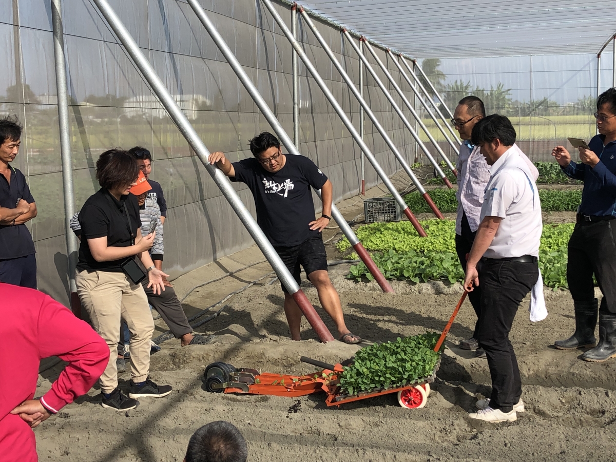 簡易種苗移植機田間操作實況