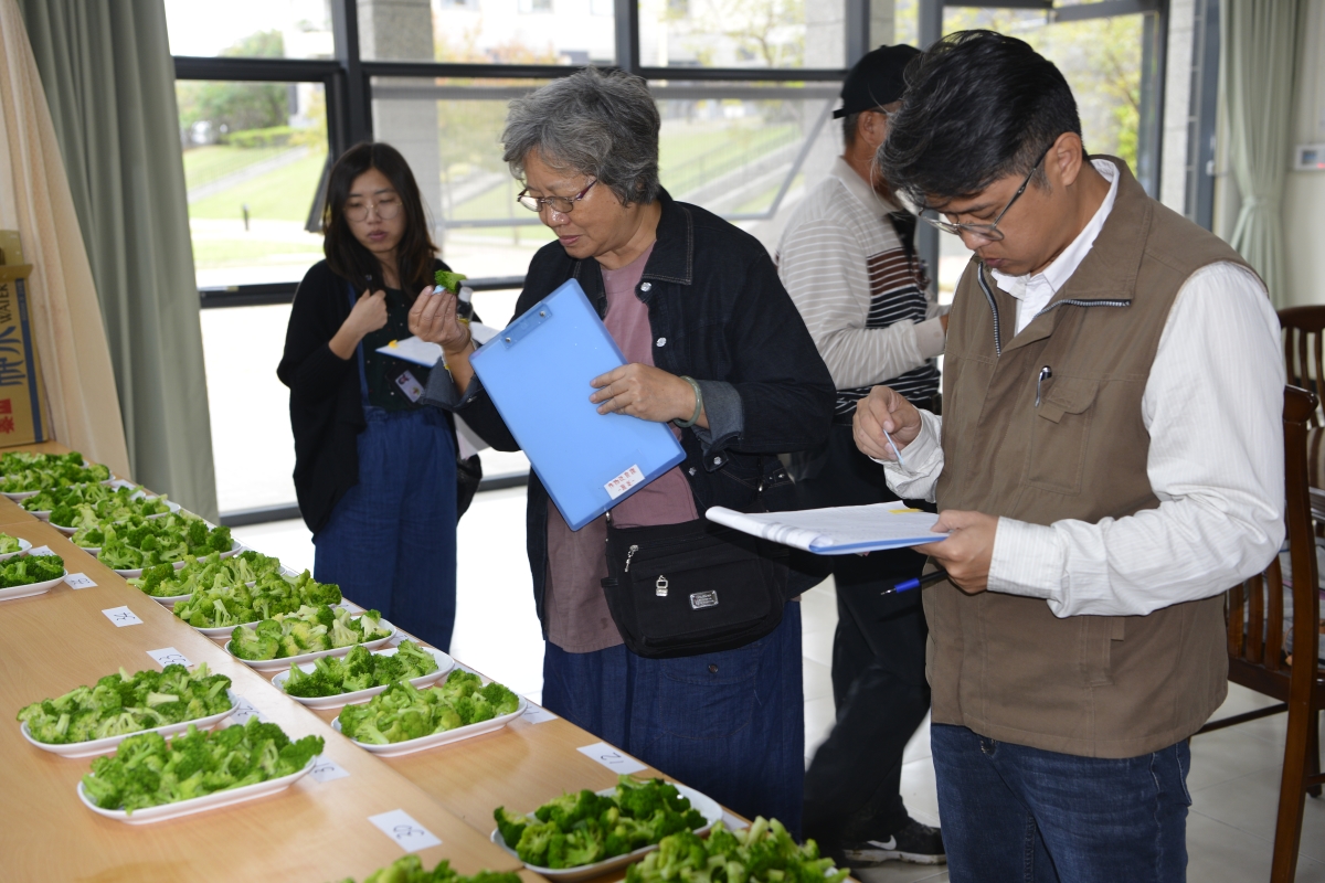 評審進行口感品評