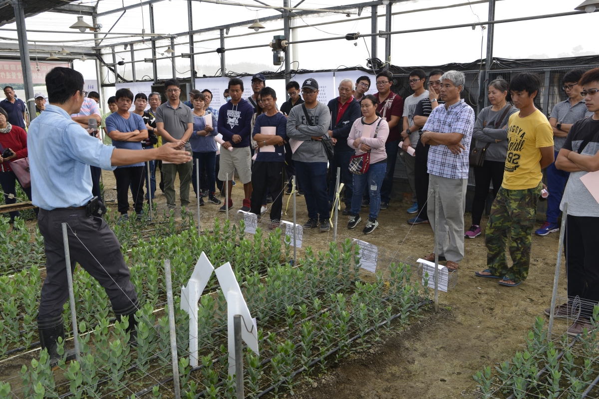 張元聰副研究員說明連作障礙處理