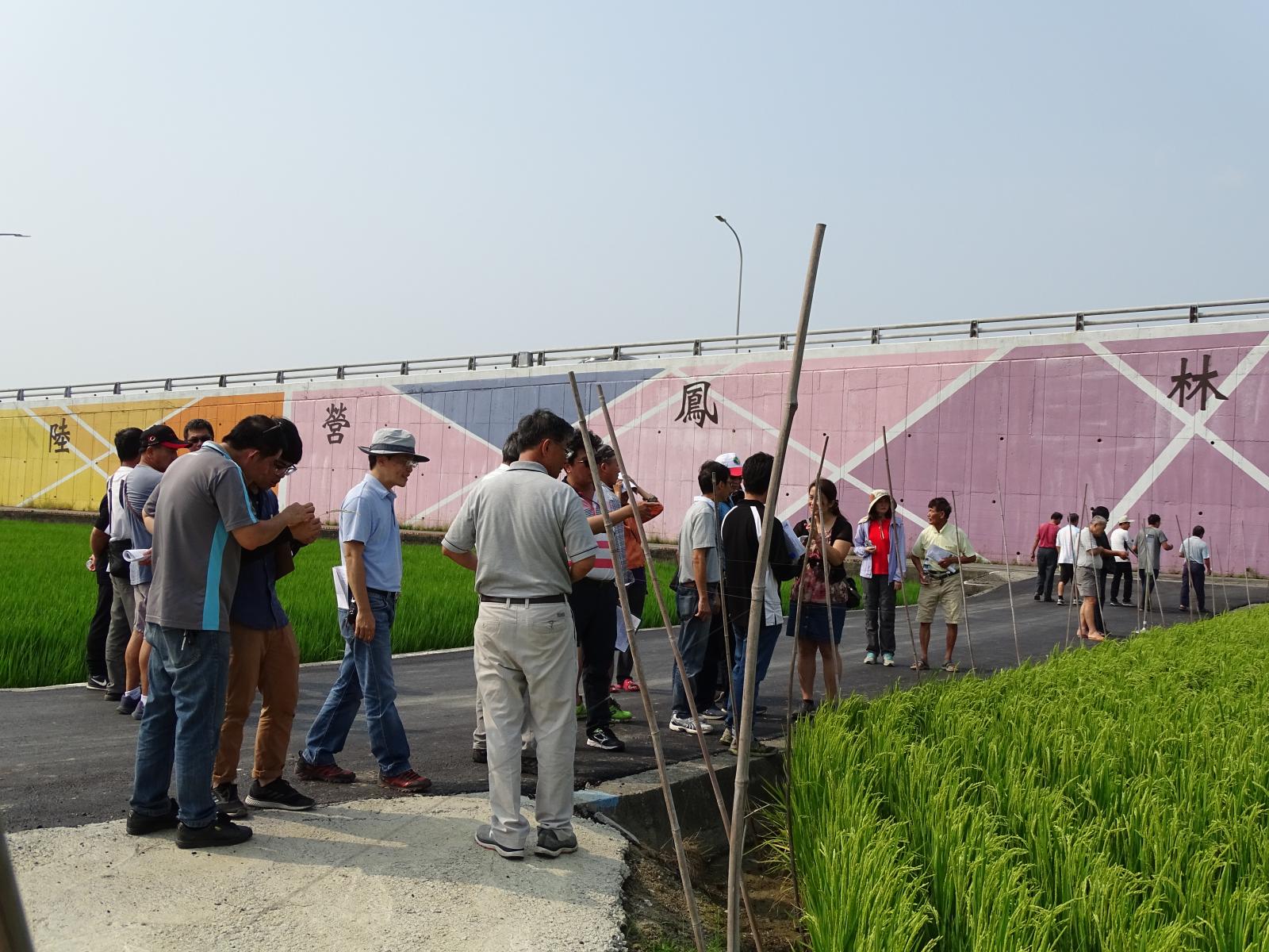 農友近距離跟研究人員交流互動