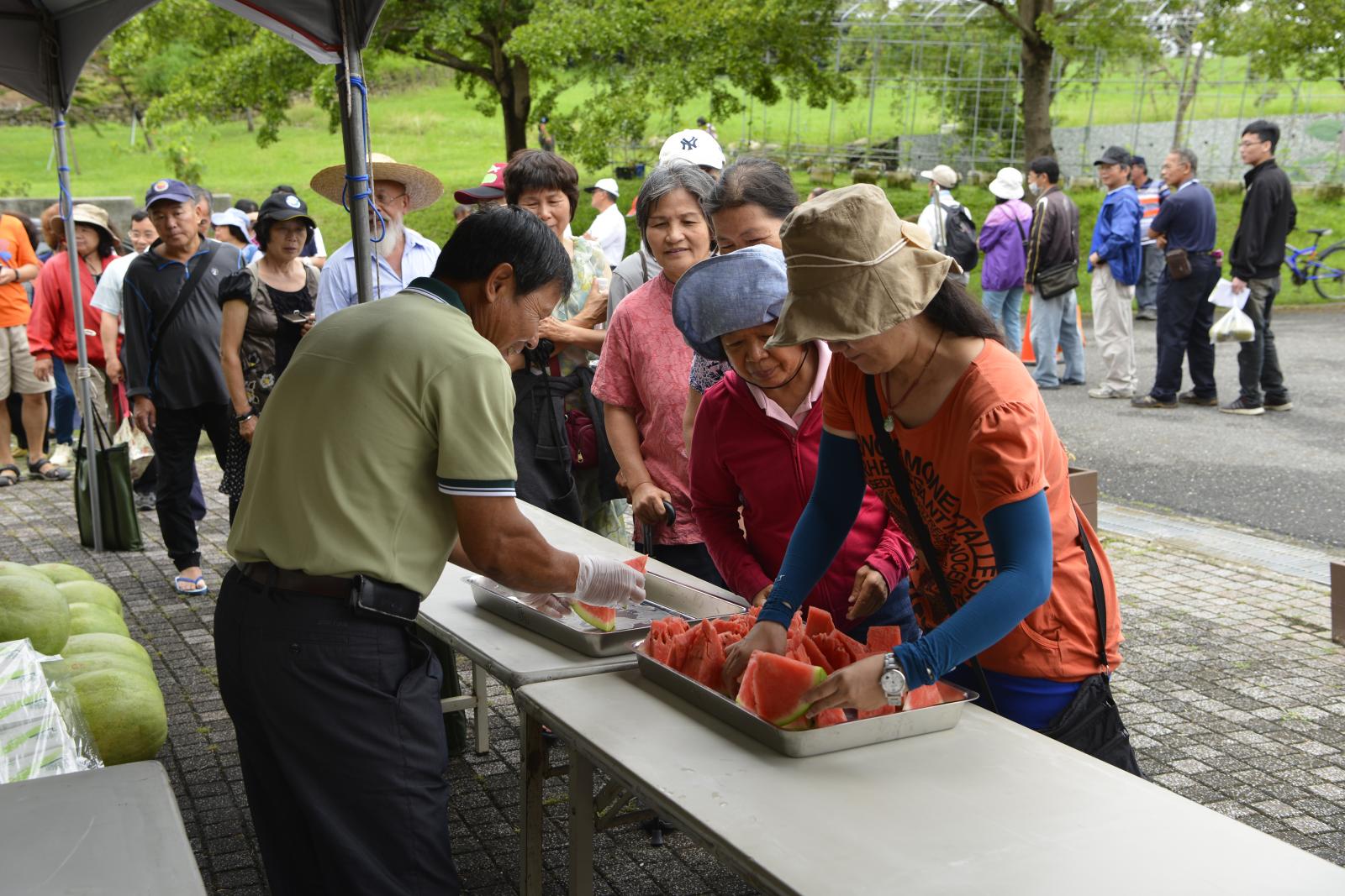 西瓜品嘗