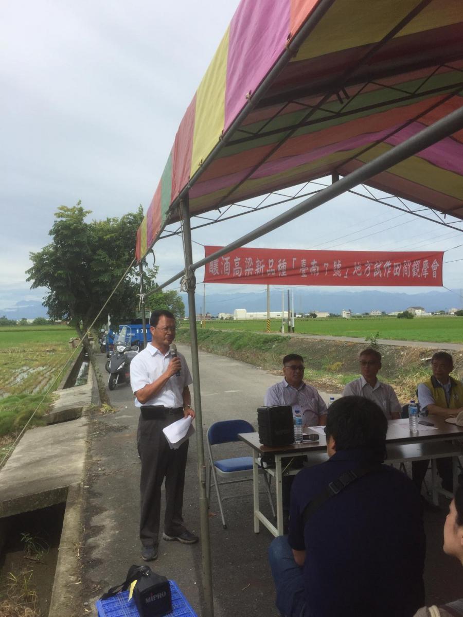 游分場長說明新品種特性