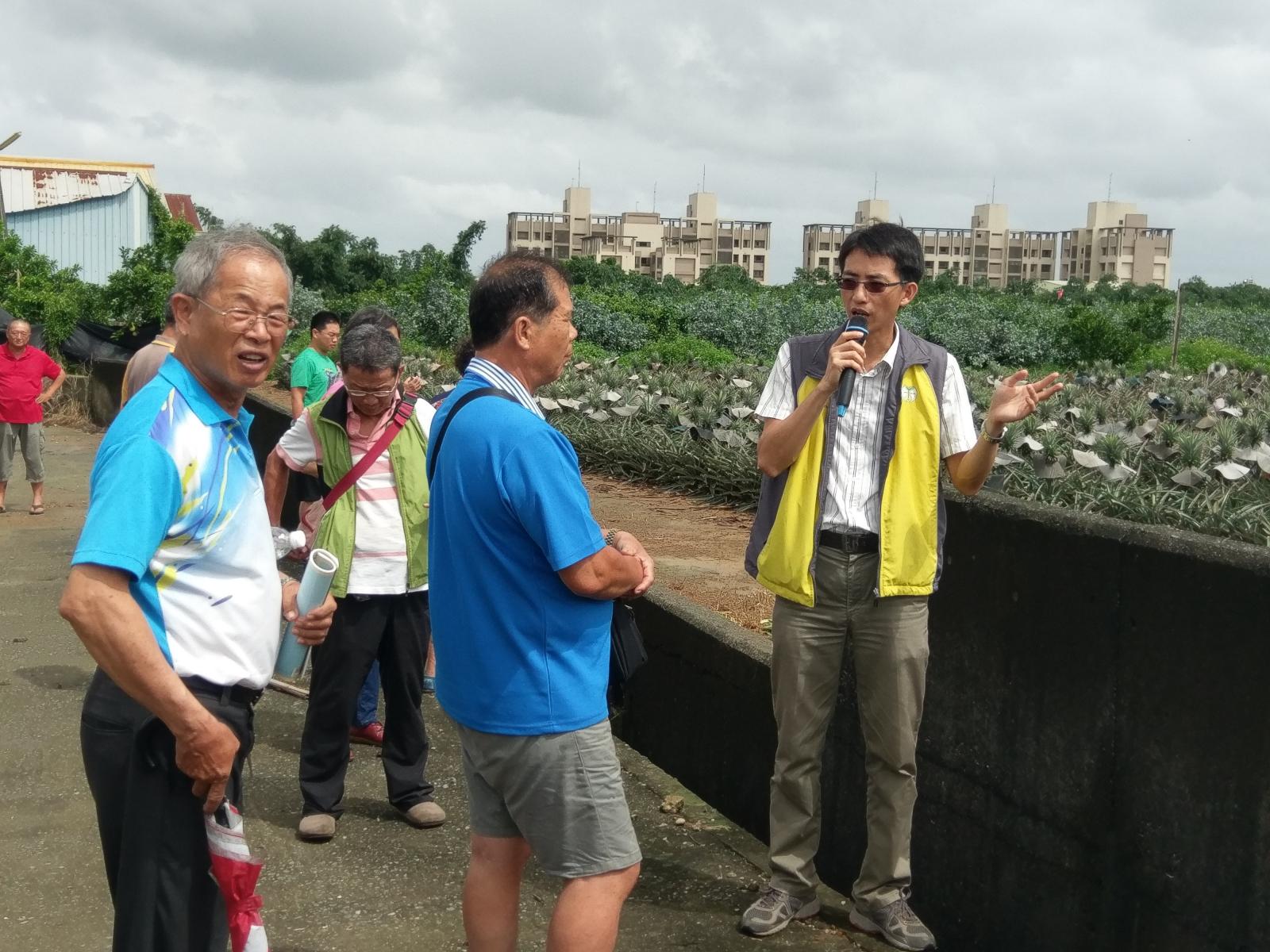 鳳梨秋果田間觀摩及解說