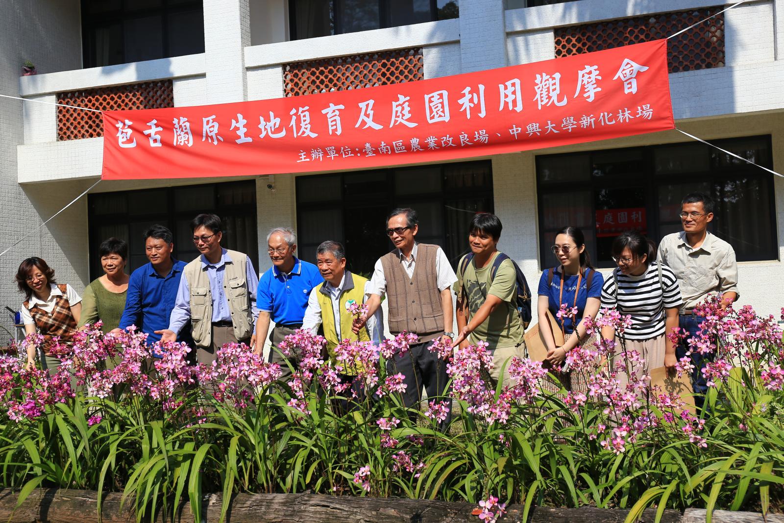 新化林場的苞舌蘭示範點持續盛花已經超過半年