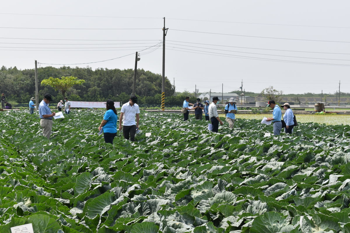 與會者於試驗田區參觀