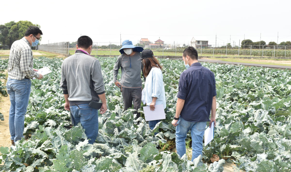 評審委員田間評鑑