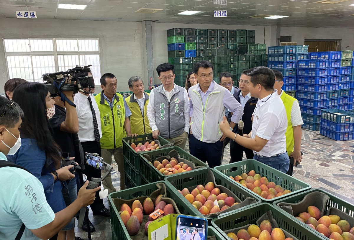 南化區農會溫進添總幹事向陳主委說明外銷集貨流程