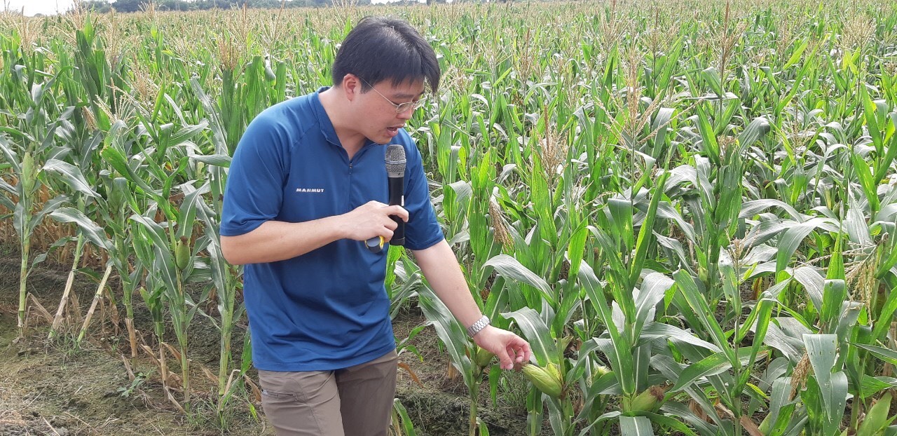 謝佳宏副教授現場說明如何設置寄生蜂片