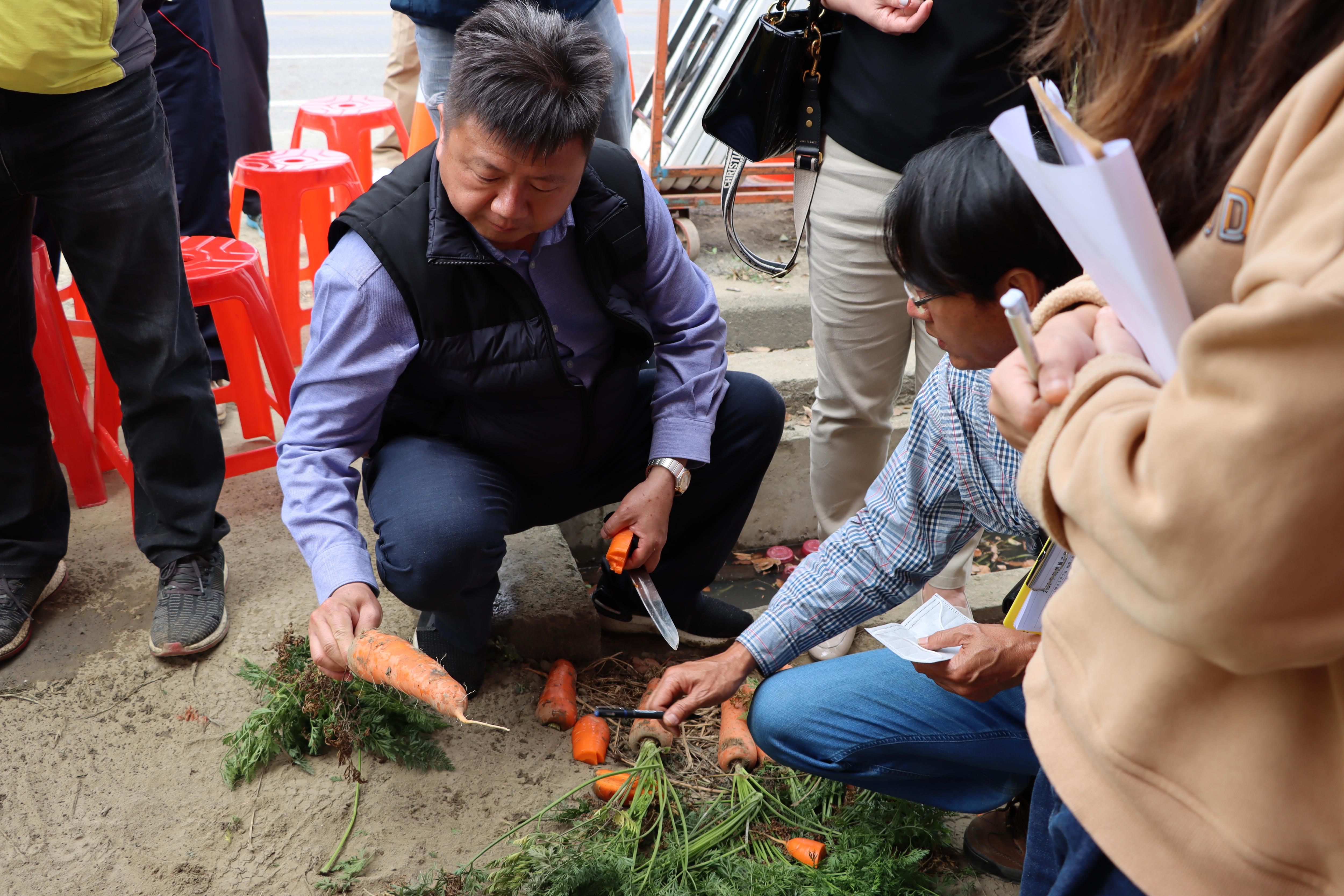 評審委員現場品評參賽品種風味