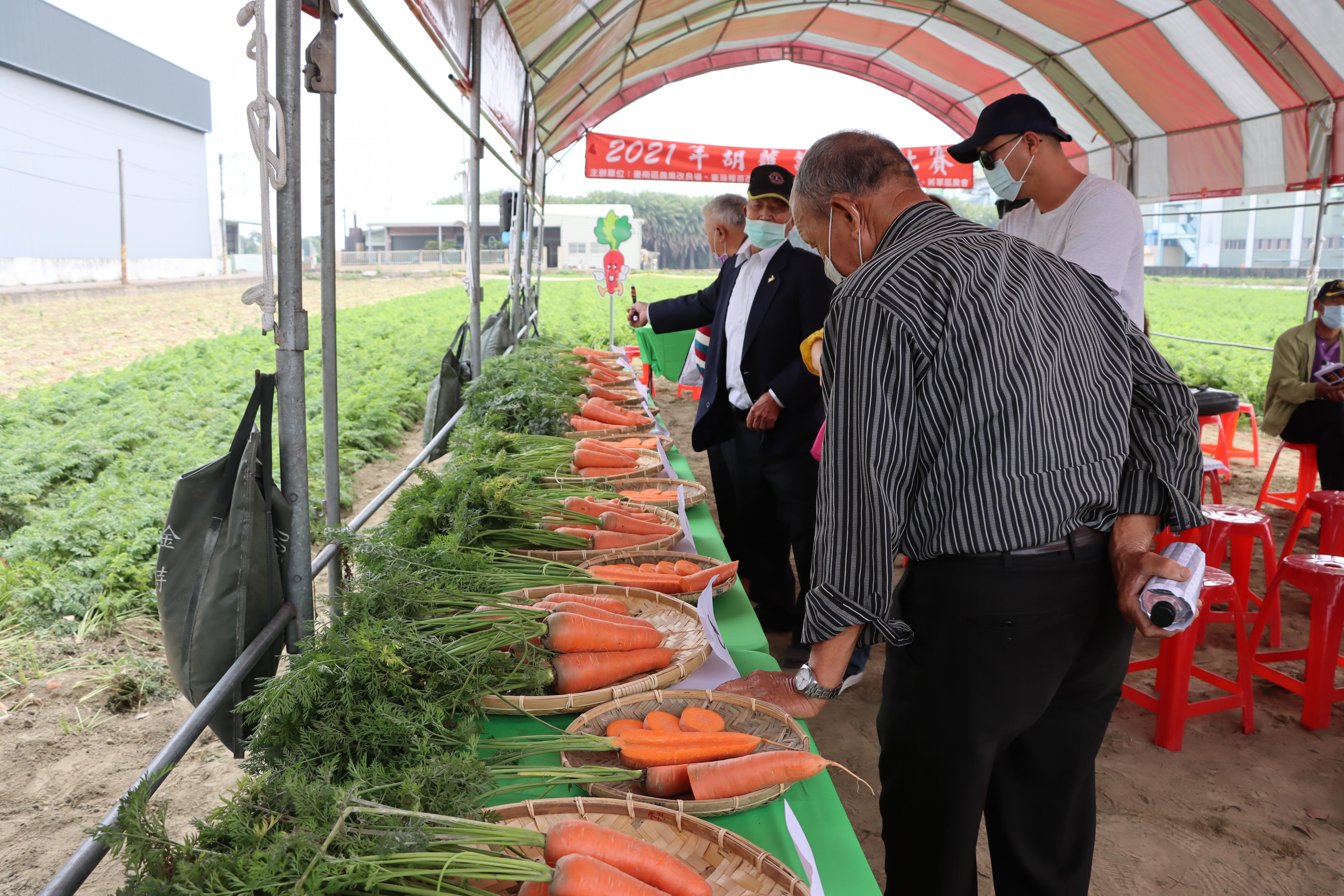 與會來賓參觀當日採摘展示樣品