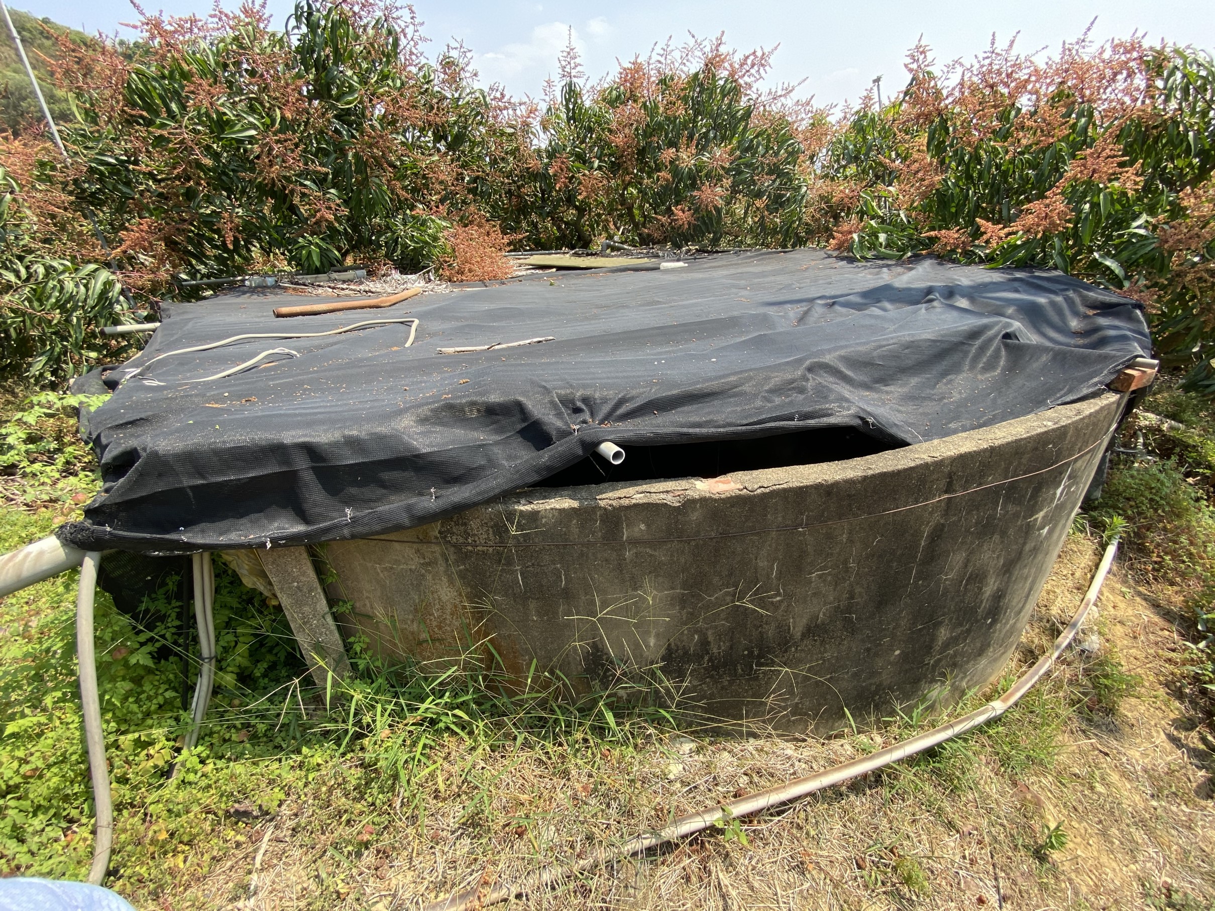 儲水塔用黑布覆蓋維護，避免枯枝落葉掉入及防止長青苔