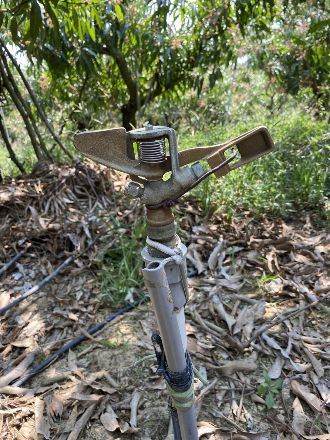 噴灌可在短時間內提供較大面積之灌溉範圍