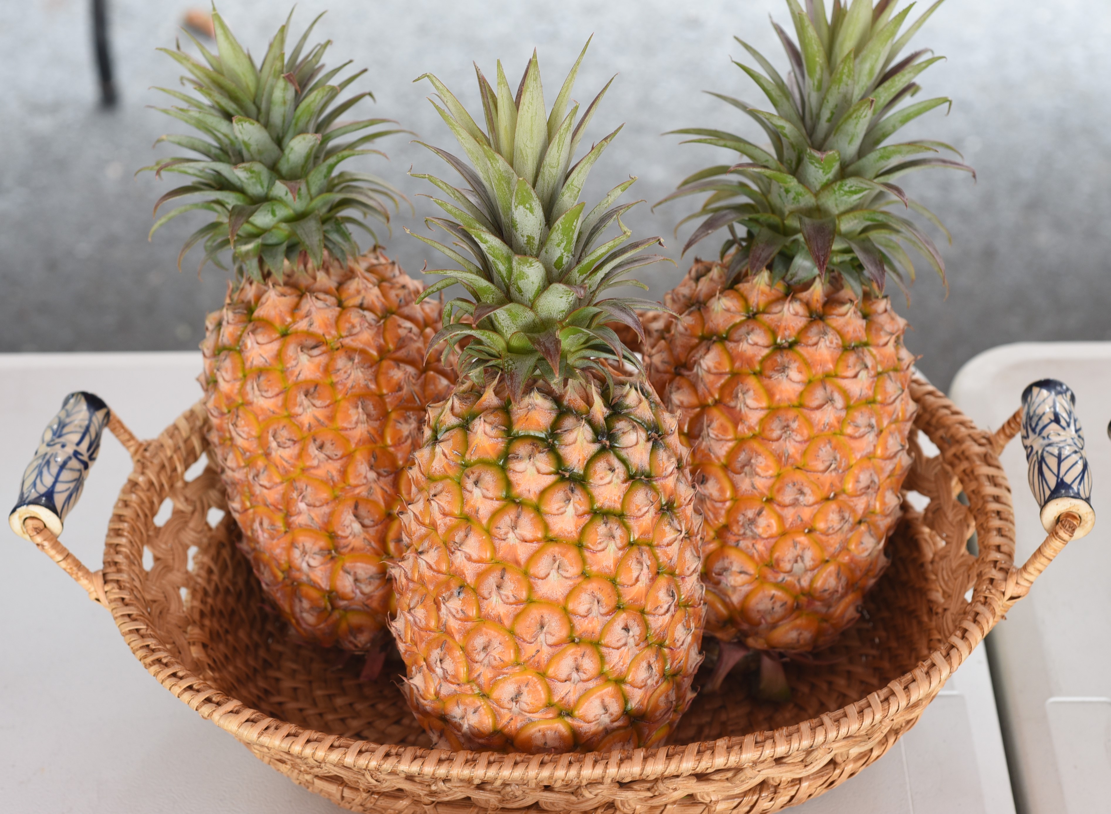 金黃飄香的鼓聲果，肉質細緻，甜度及風味均佳，是購買的首選