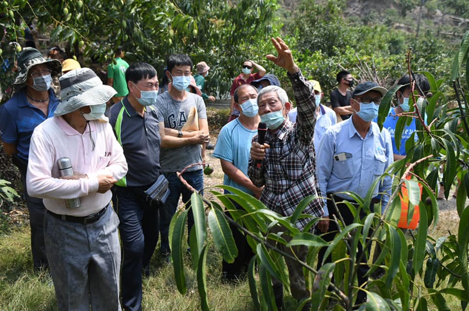 吳清進班長分享芒果灌溉經驗