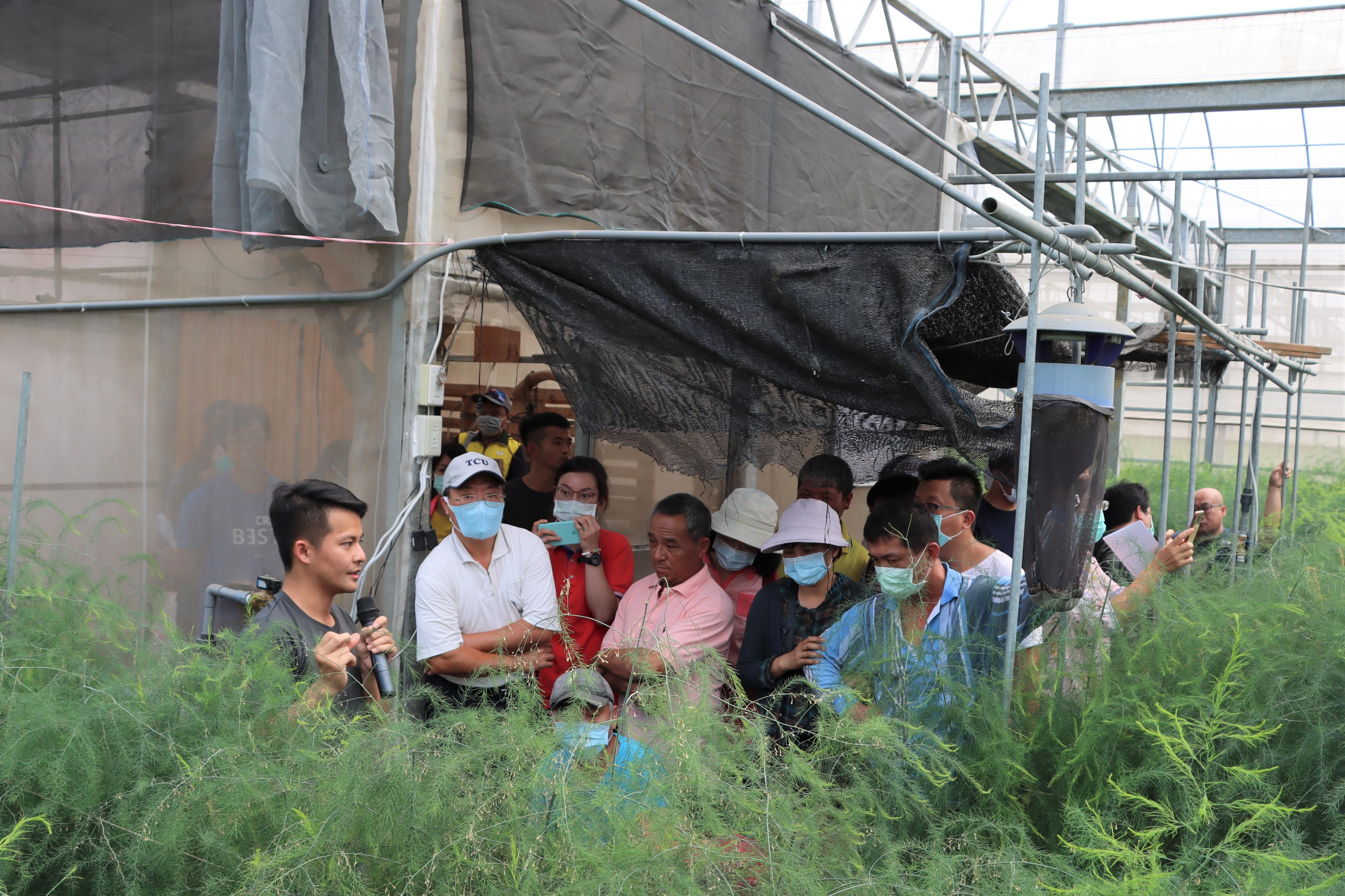 實地觀摩滴灌設備及蘆筍栽培情形