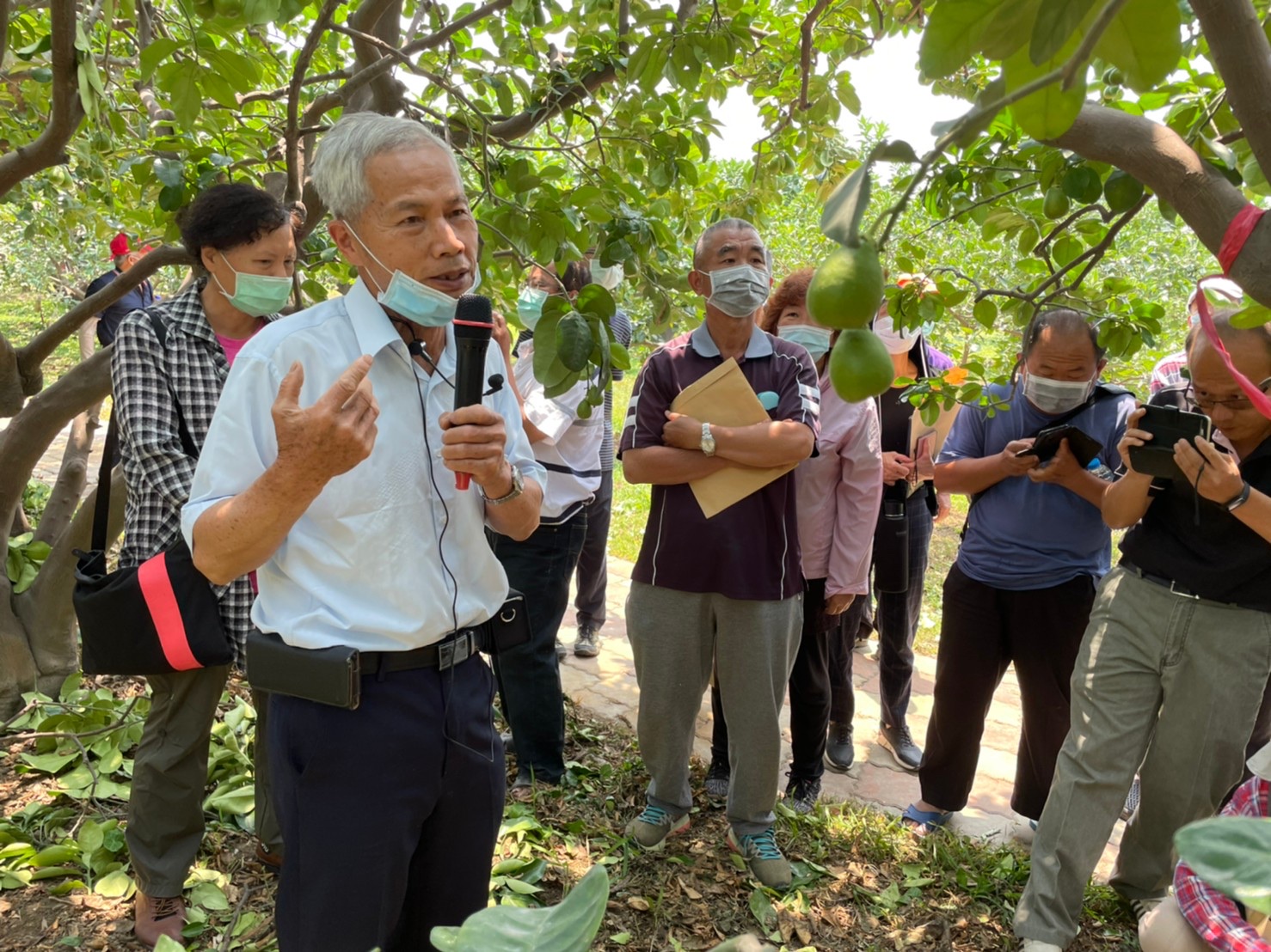 示範場域陳萬生班長分享果園灌溉經驗