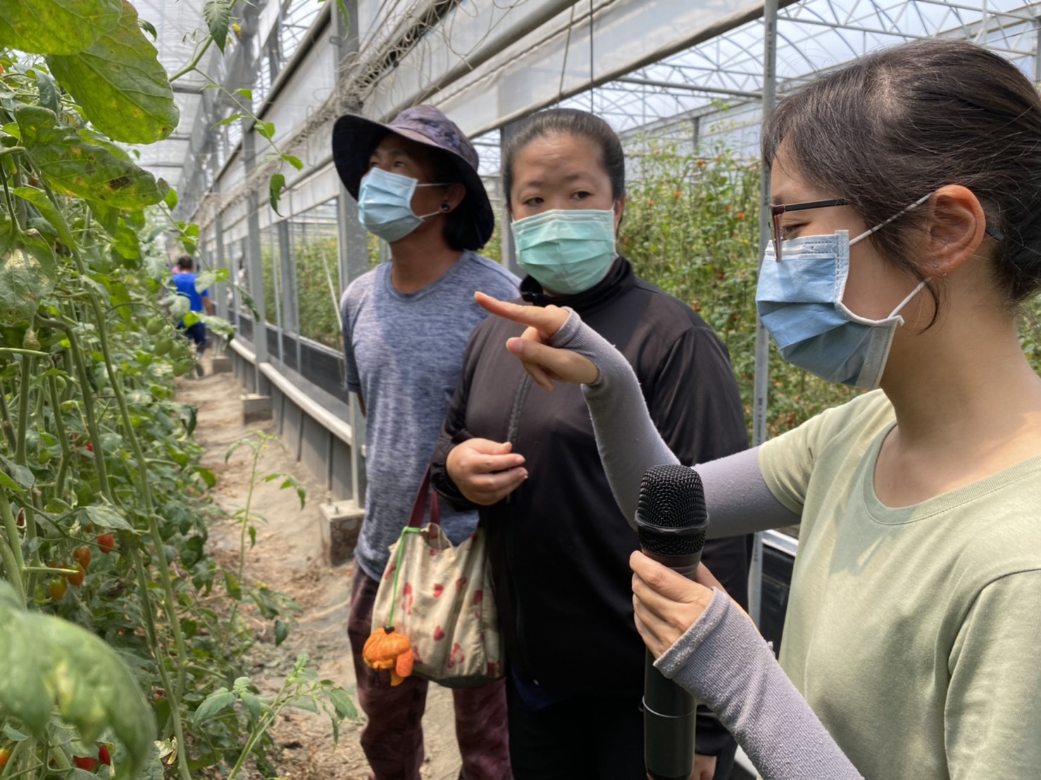 張淳淳助研員引導田間觀摩