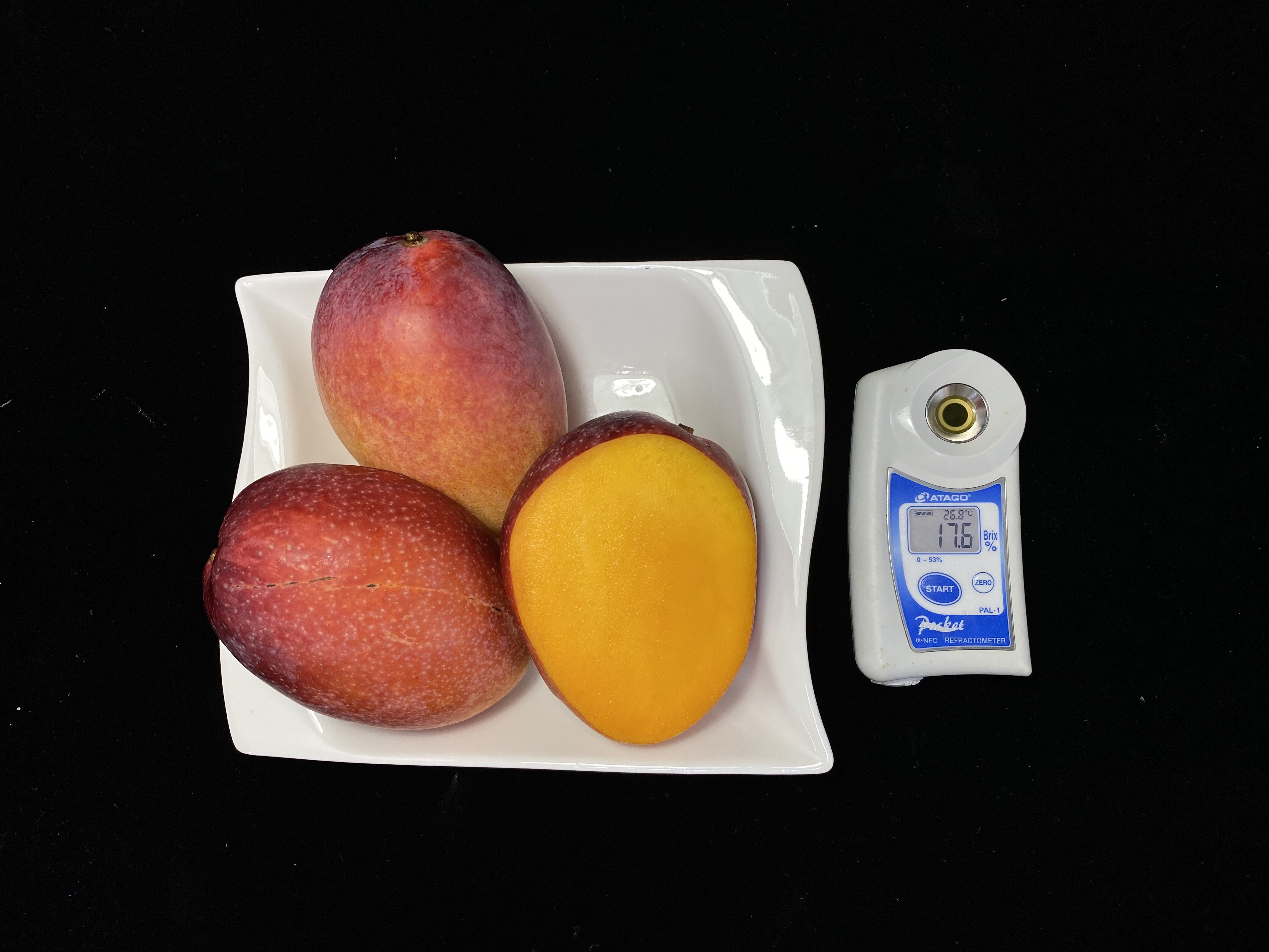 今年芒果色澤漂亮且糖度高