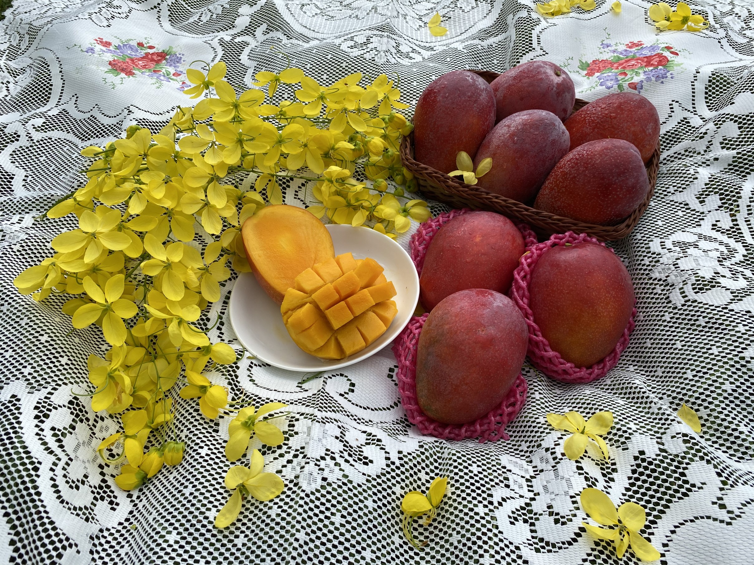 夏日為品嚐芒果的最佳時機