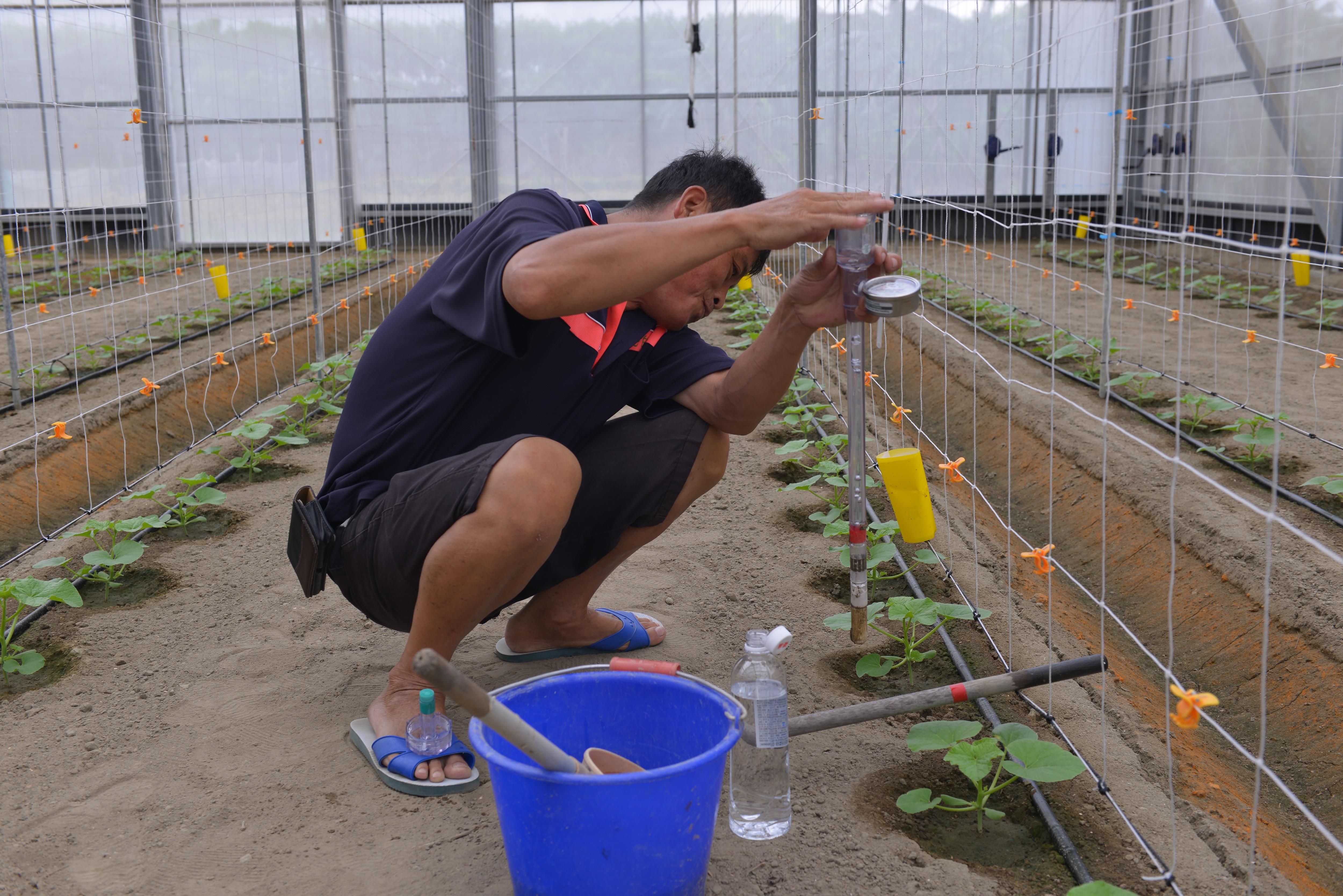 設置土壤水分張力計