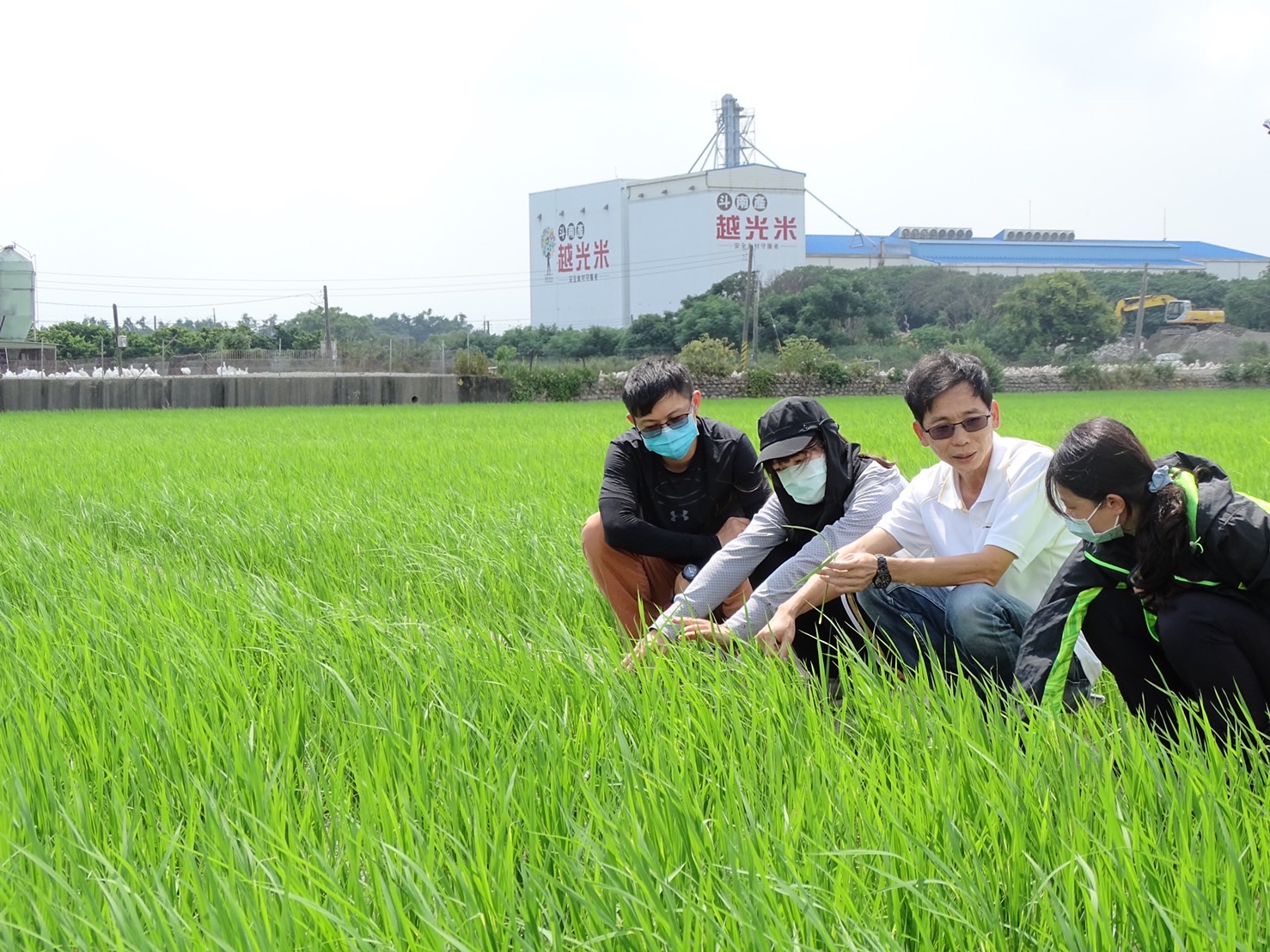 陳榮坤分場長(右二)輔導斗南農會植醫學習水稻栽培管理與病害發生之關聯性診斷