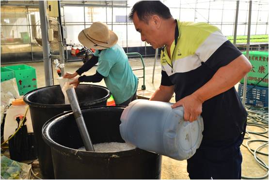生物性有機液肥可迅速提供植物養分,提高作物抗病性並改善土壤理化性質,有助土壤之永續經營利用 生物性有機液肥可迅速提供植物養分,提高作物抗病性並改善土壤理化性質,有助土壤之永續經營利用