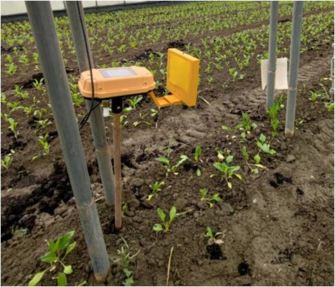 自動監測即時掌握田間害蟲族群,利於落實精準防治管理 自動監測即時掌握田間害蟲族群,利於落實精準防治管理