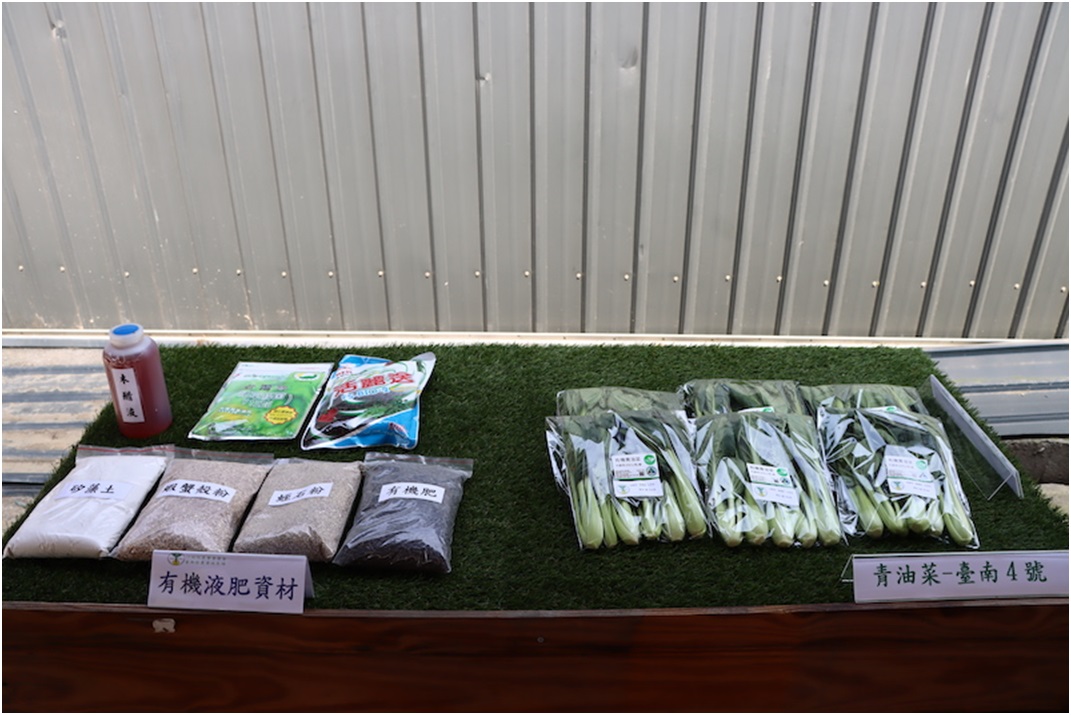 現場展示本場育成品種臺南4號(青油菜)及有機葉肥資材