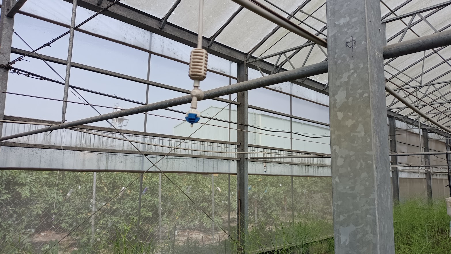 綜合防治-應用噴霧系統防治蟲害 綜合防治-應用噴霧系統防治蟲害