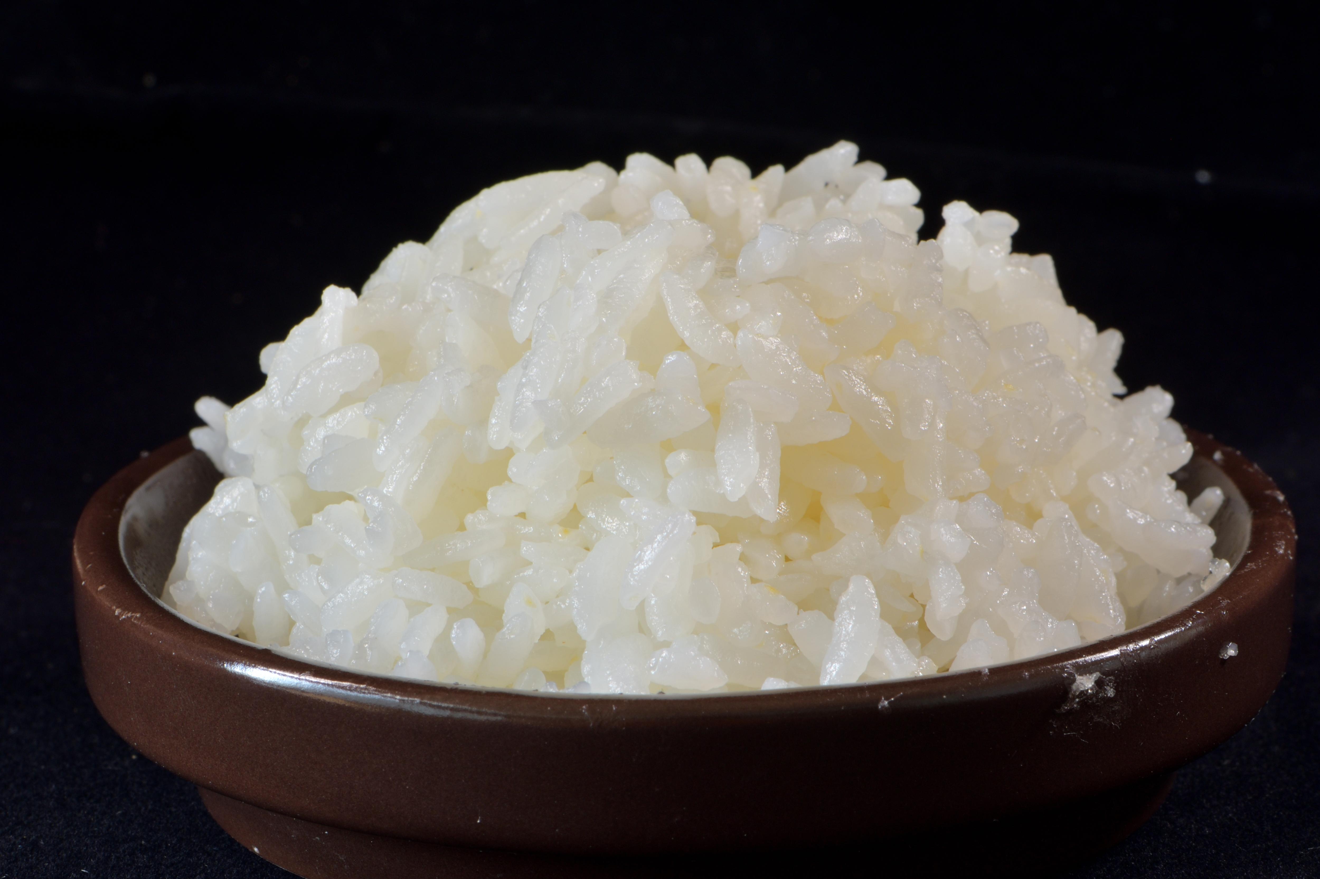 水稻新品種「臺南20號」米飯帶有淡雅香氣及光澤，熱飯口感輕柔、冷飯Q彈！