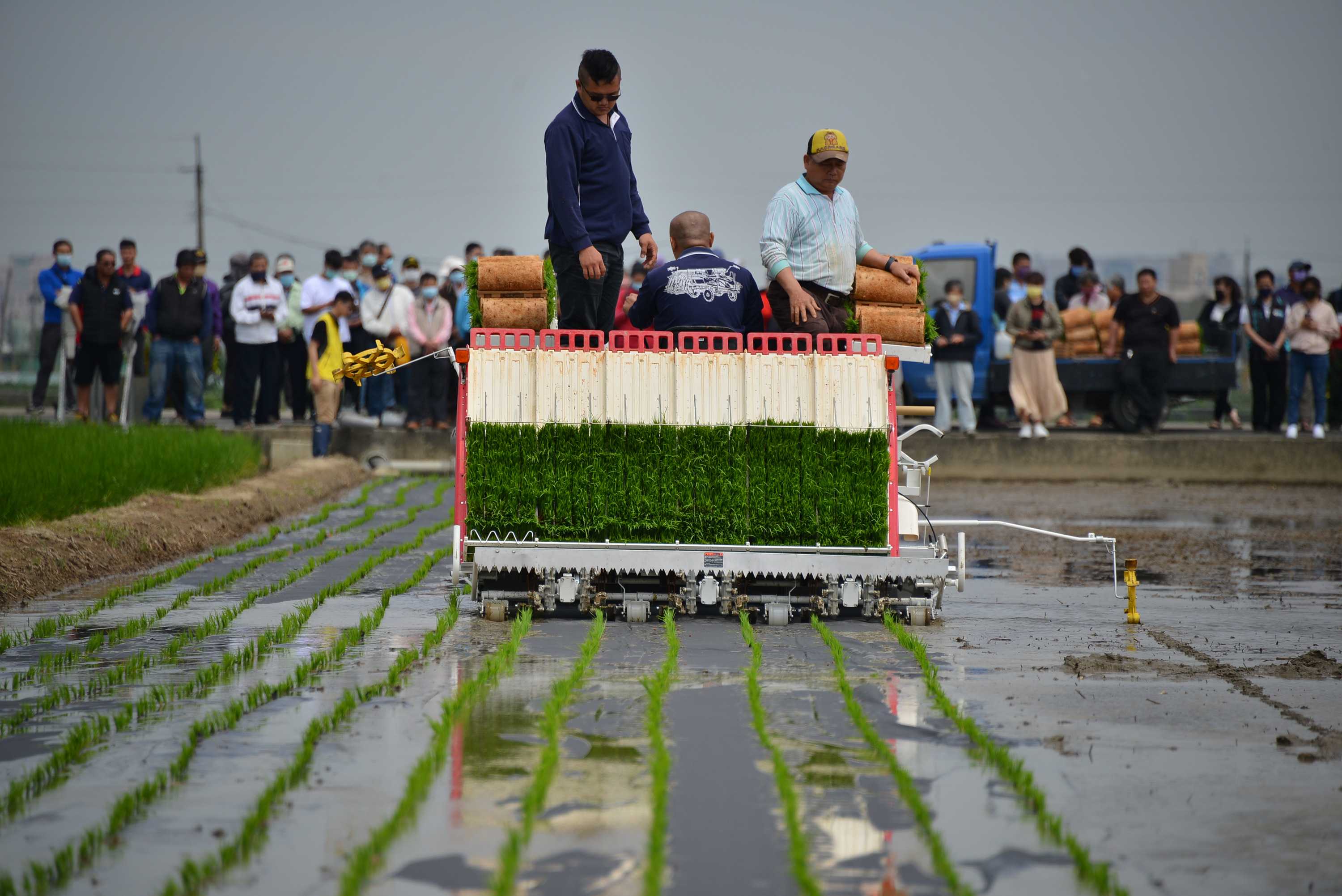 現場操作指蓆插秧機