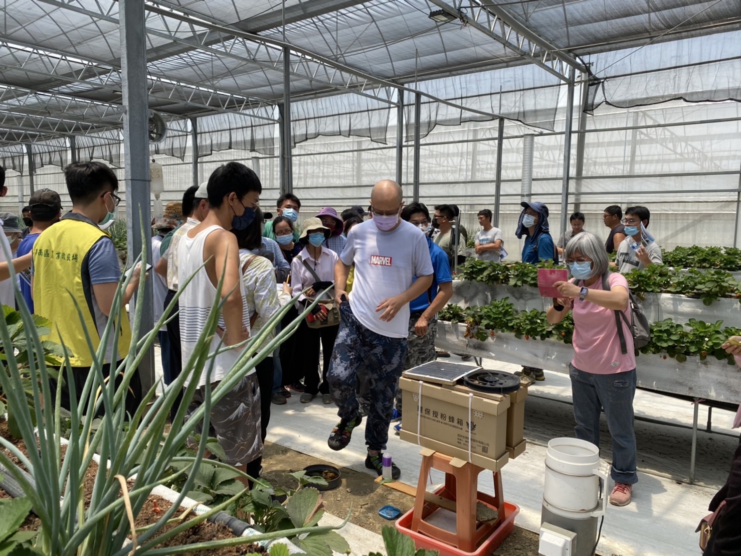 與會人員觀摩授粉蜂工作情形