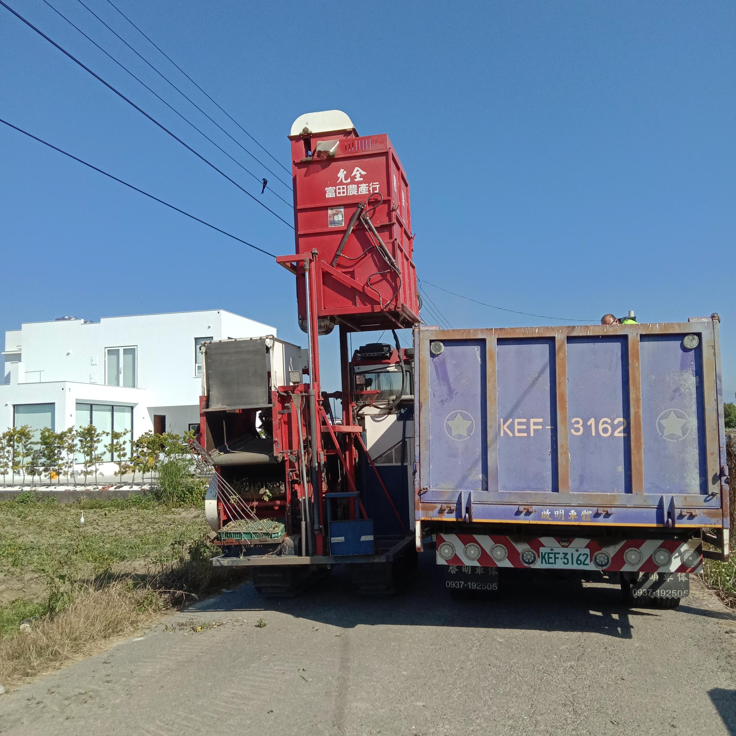 落花生種原混雜過程之三-運送