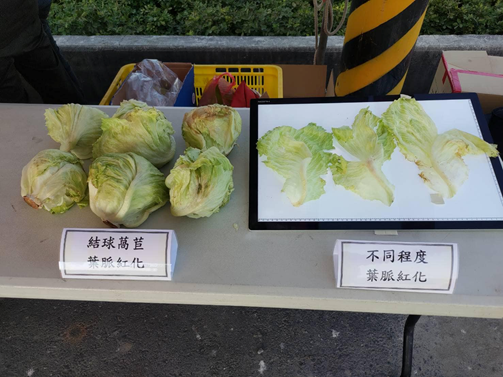 海報展示本場試驗成果