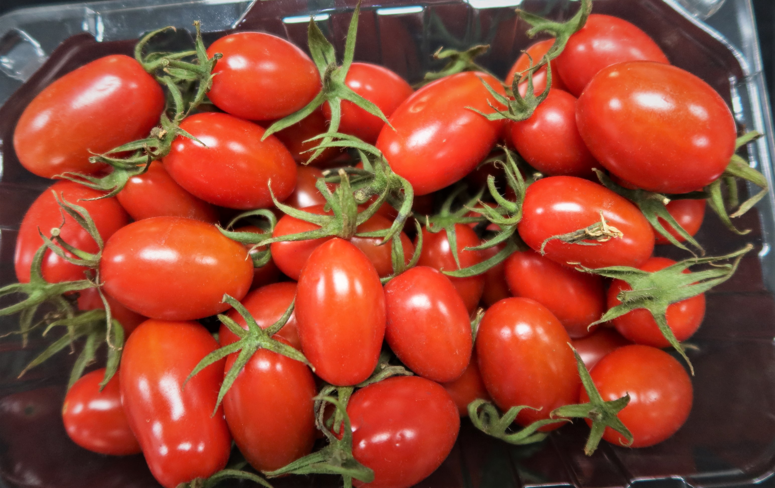小果番茄整盒以塑膠袋包覆後放置冰箱2周後取出，果實外型飽滿、顏色亮麗