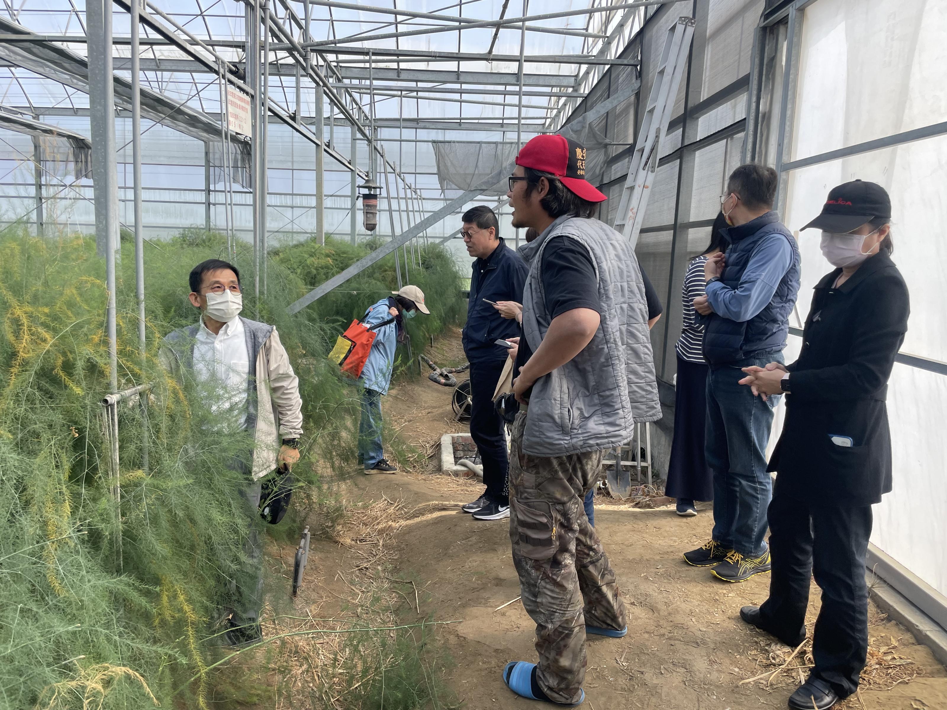 臺南市將軍區農青農分會長楊詠仁先生討論蘆筍外銷可行性。