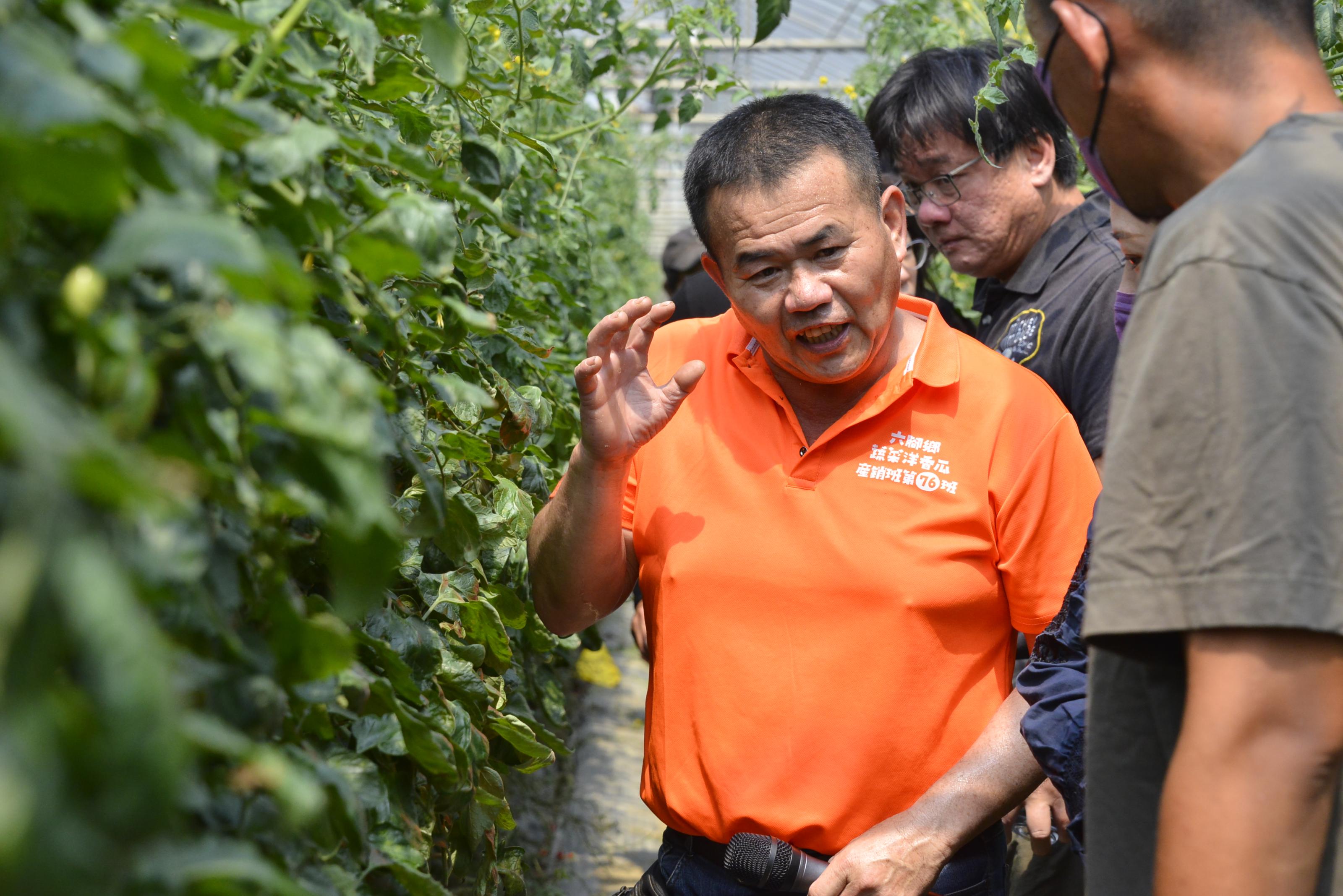舒靖農園德杉帶領田間觀摩