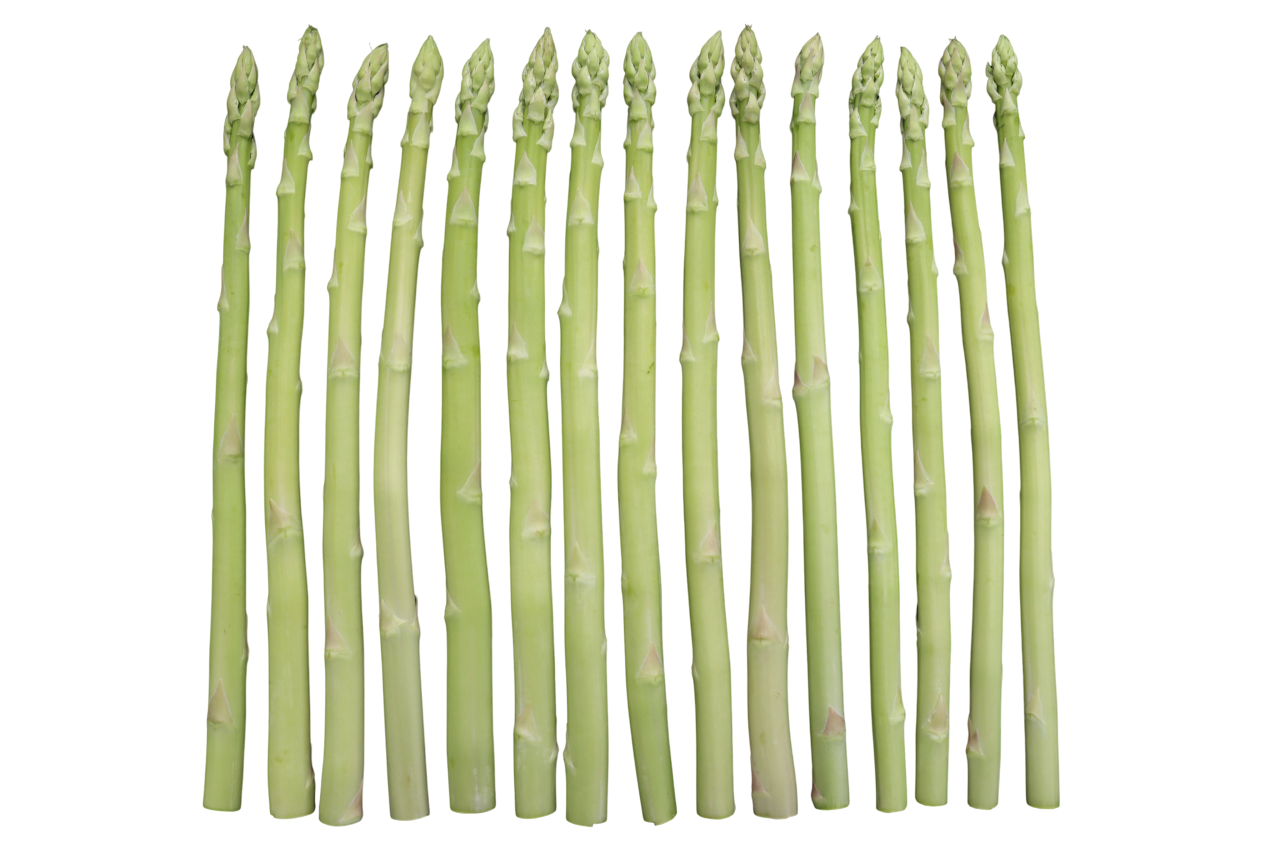 綠蘆筍-挺直堅韌的綠武士