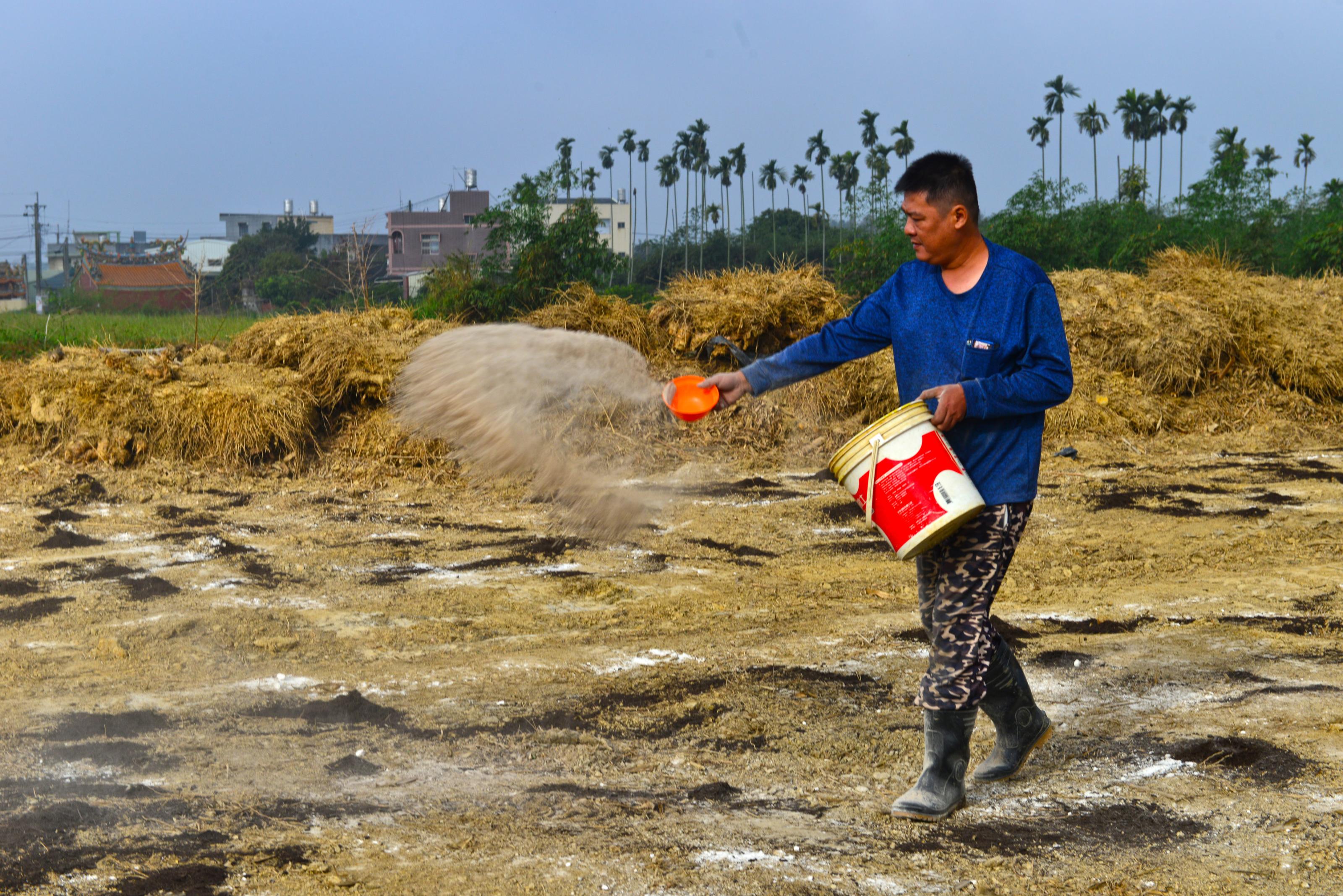 依土壤檢測報告施用改良資材