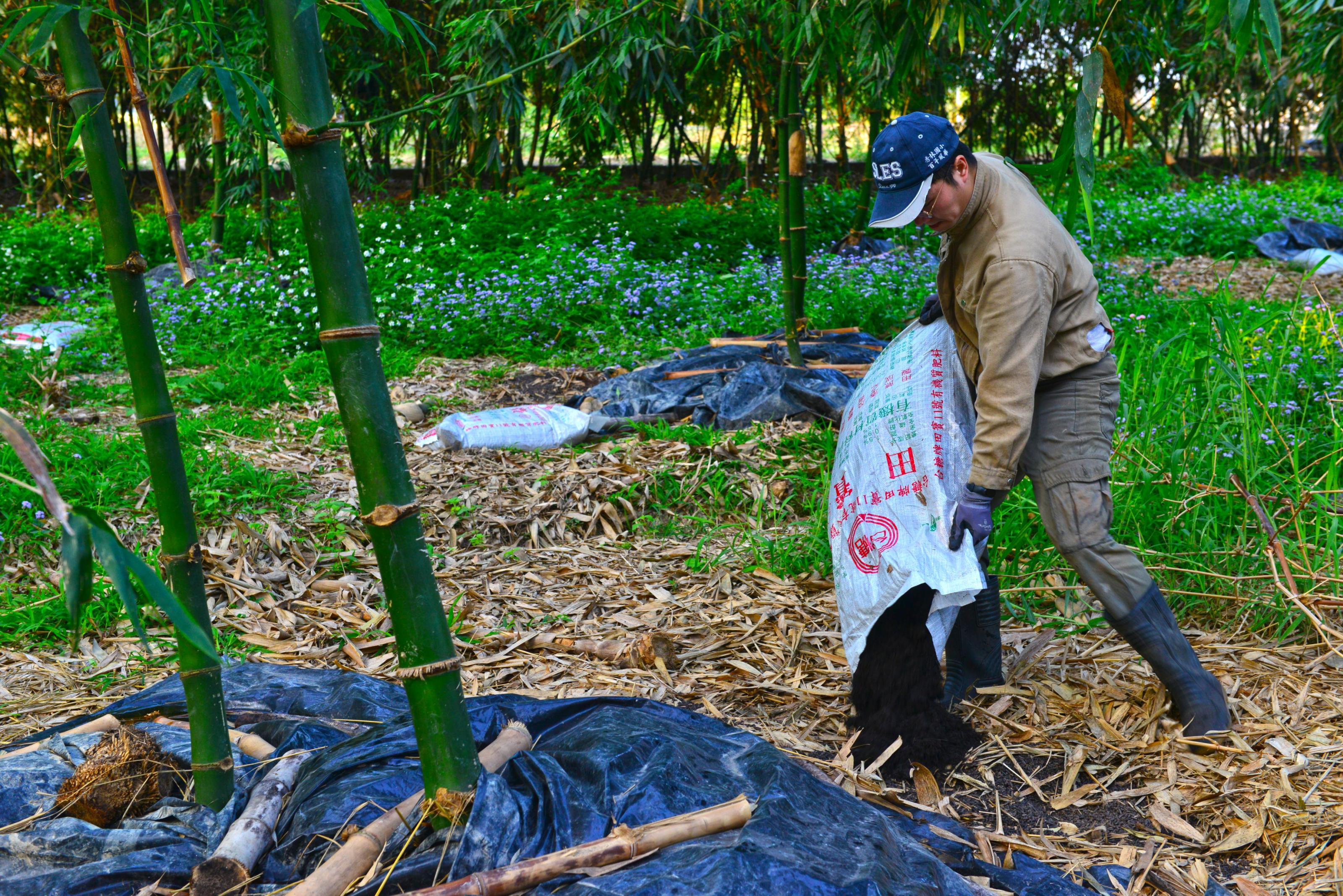增施粗纖維有機質肥料