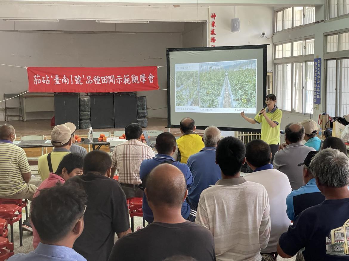 朱詠筑助理研究員介紹茄砧新品種‘臺南1號’