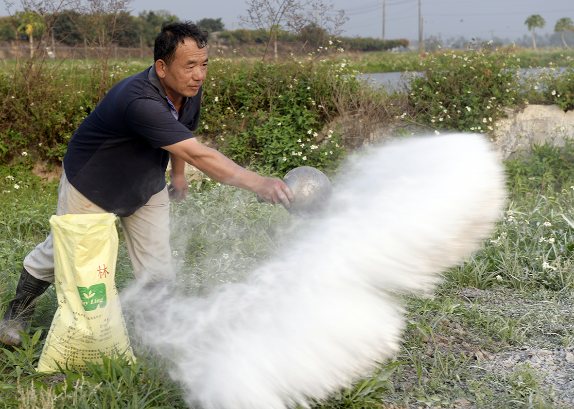 依土壤檢測報告施用改良資材