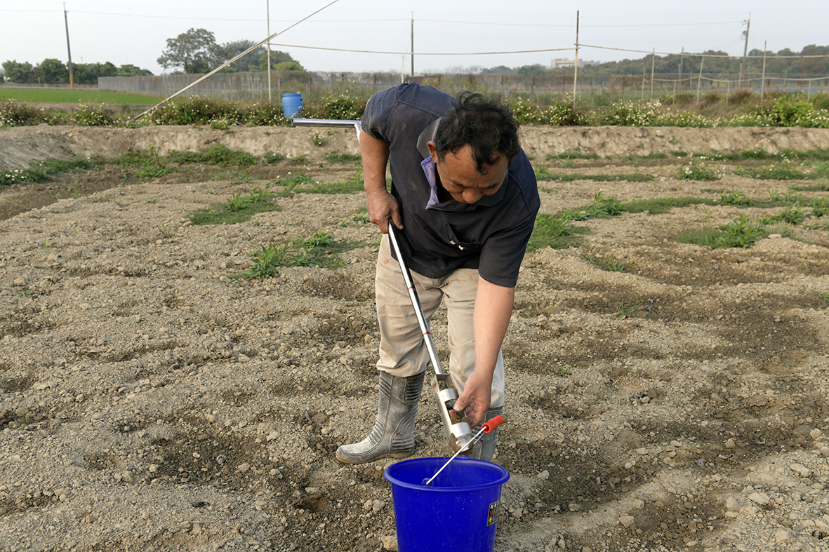 種植前田區土壤採樣分析