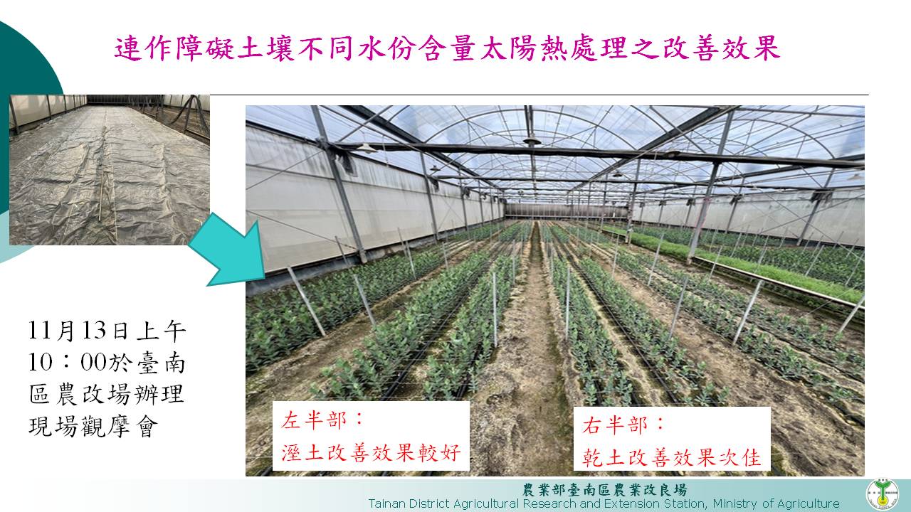 太陽熱消毒法可改善土壤連作障礙