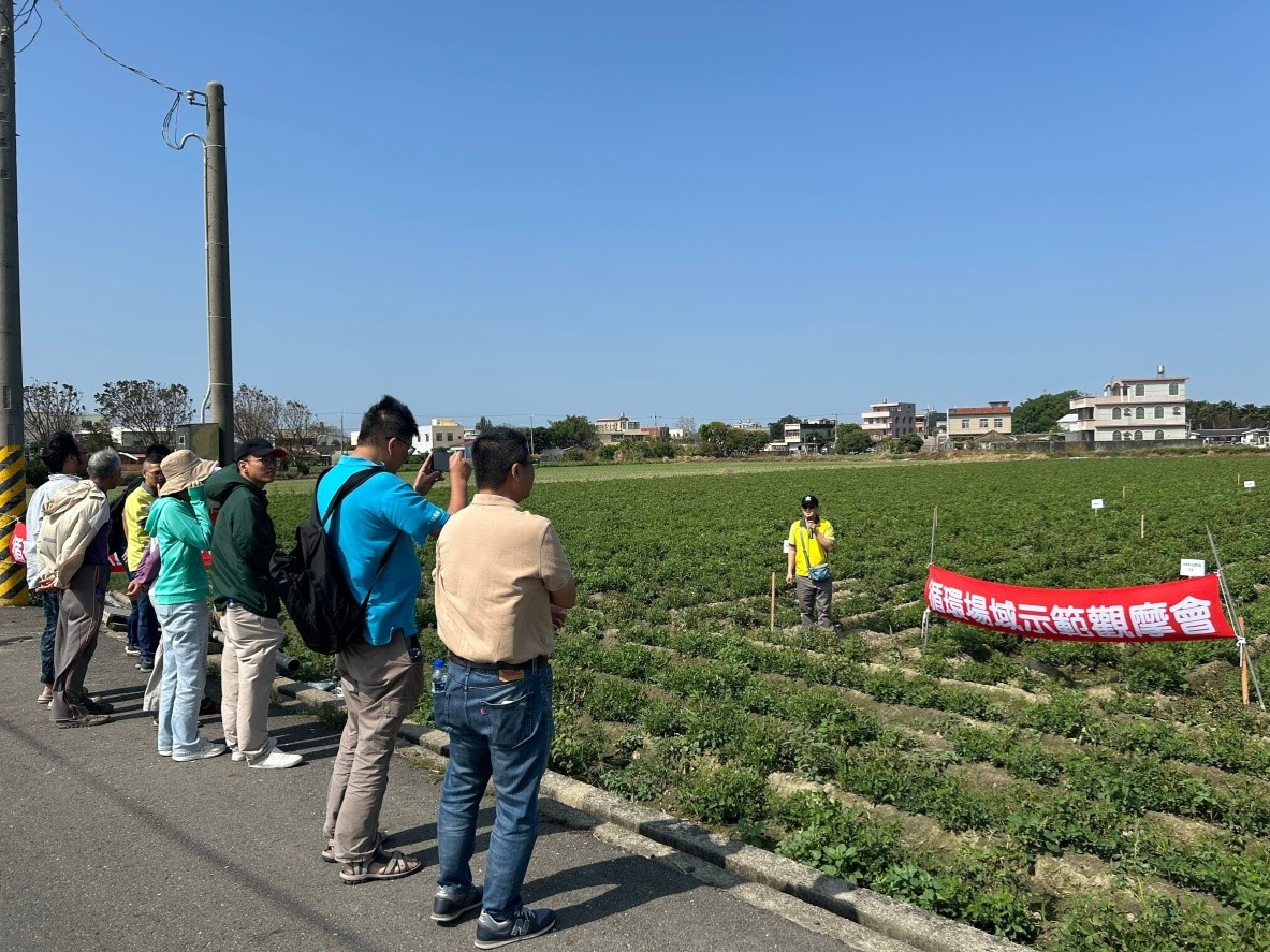 本場土壤肥料研究室毛壬杰助理研究員現場說明禽糞堆肥施用於落花生田的效果
