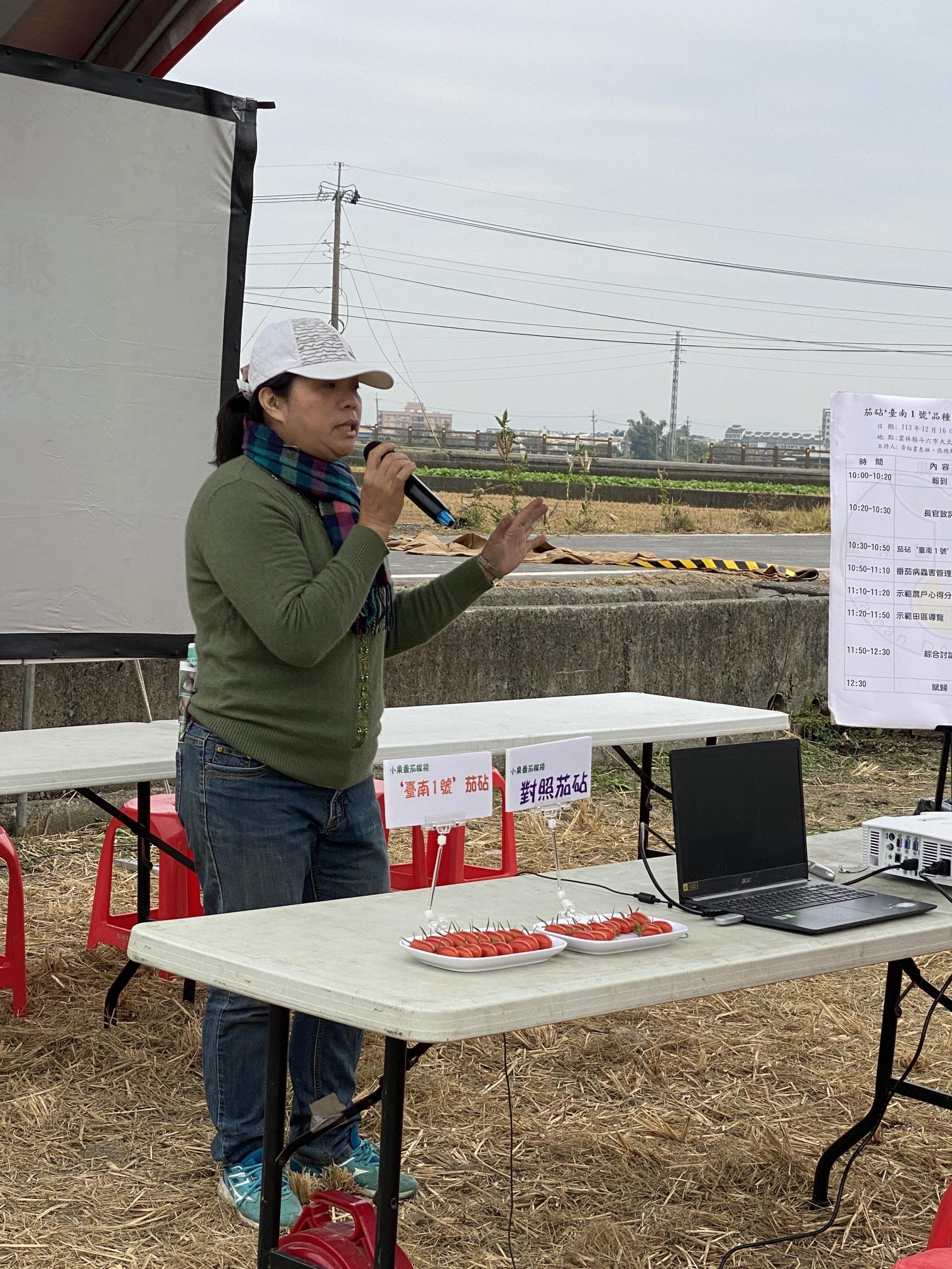 江雅娟農友分享茄砧‘臺南1號’的栽培心得。