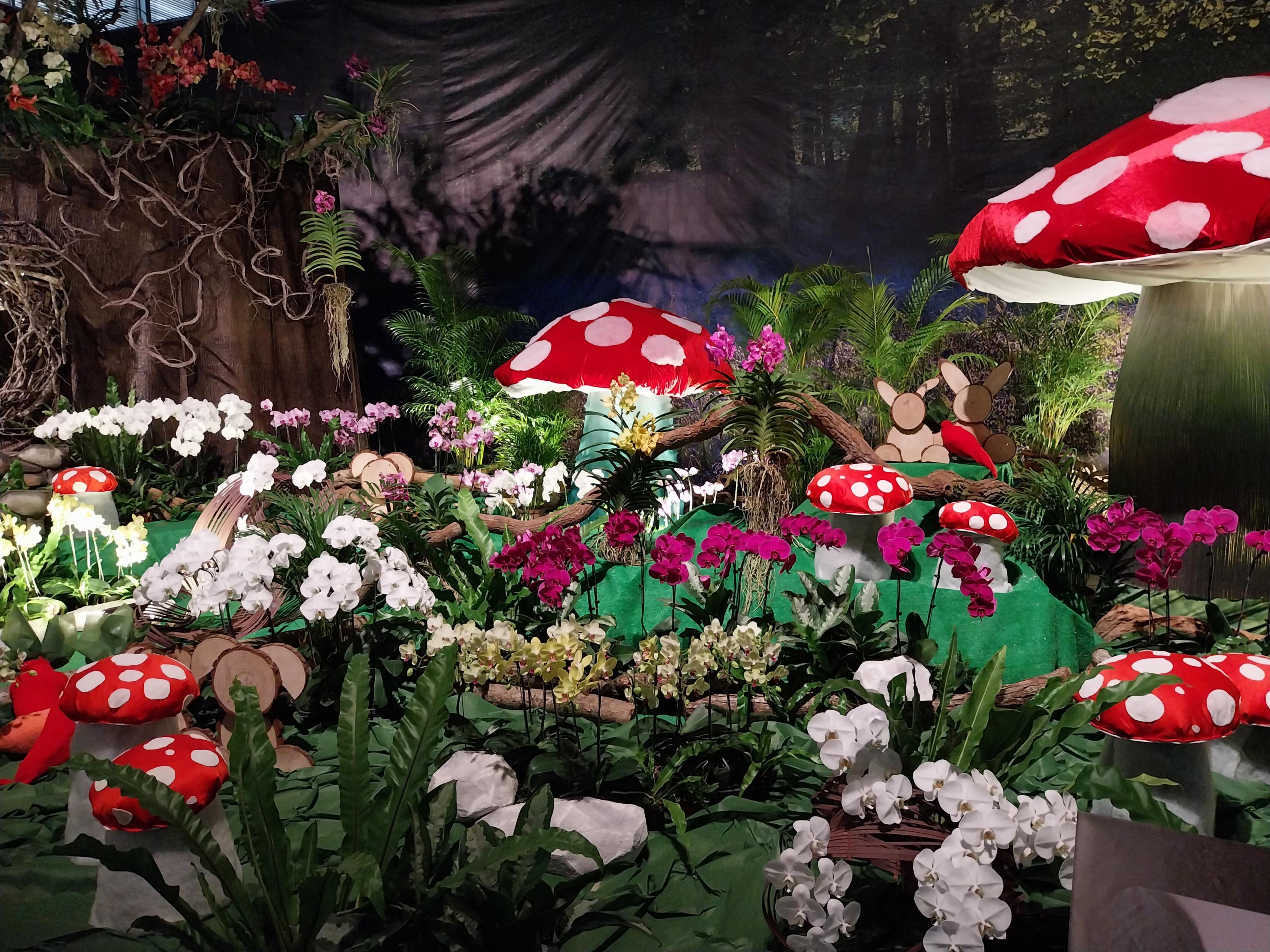 主展館內的蘭花造景